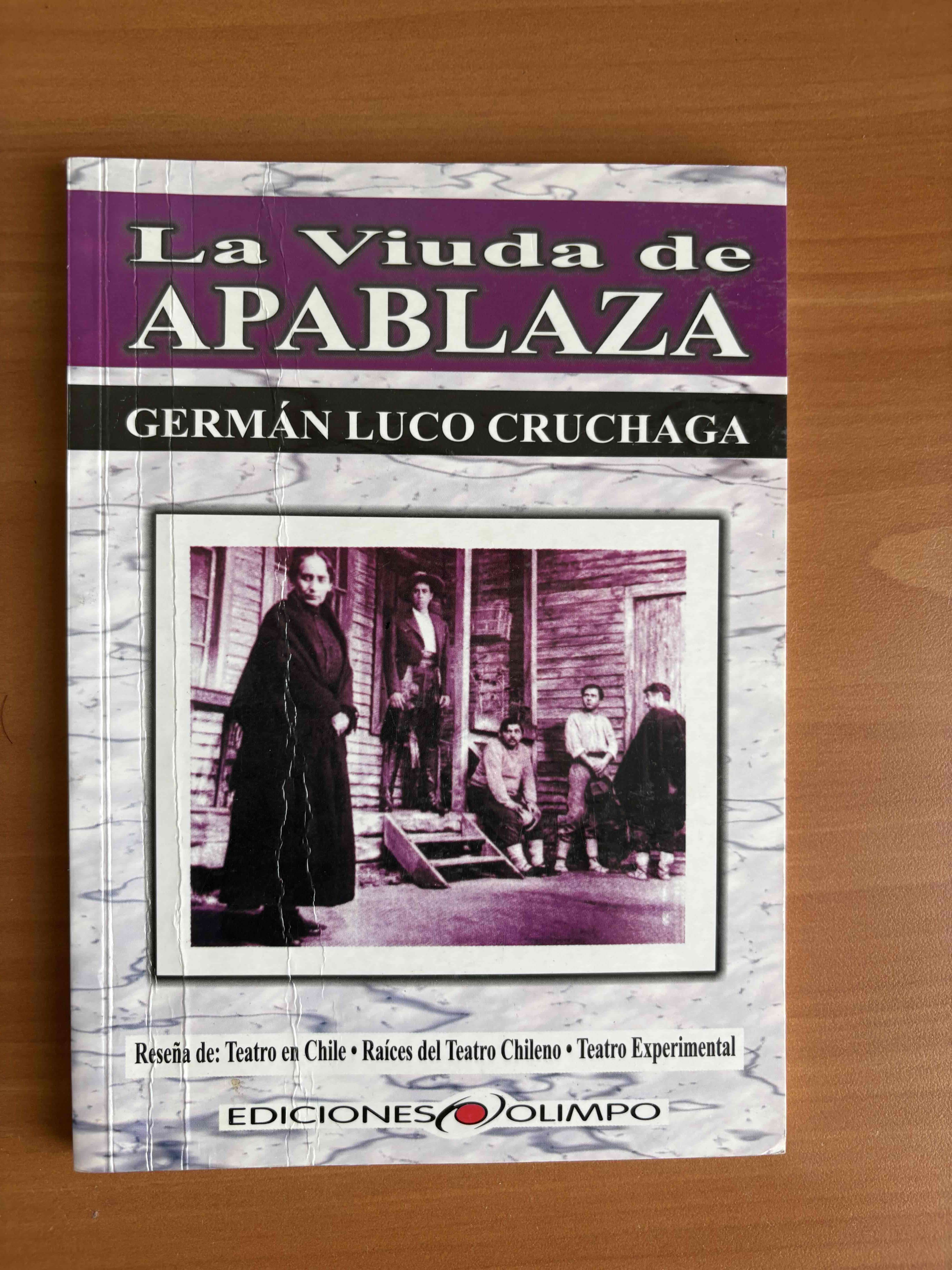 Libro 'La Viuda de Apablaza'