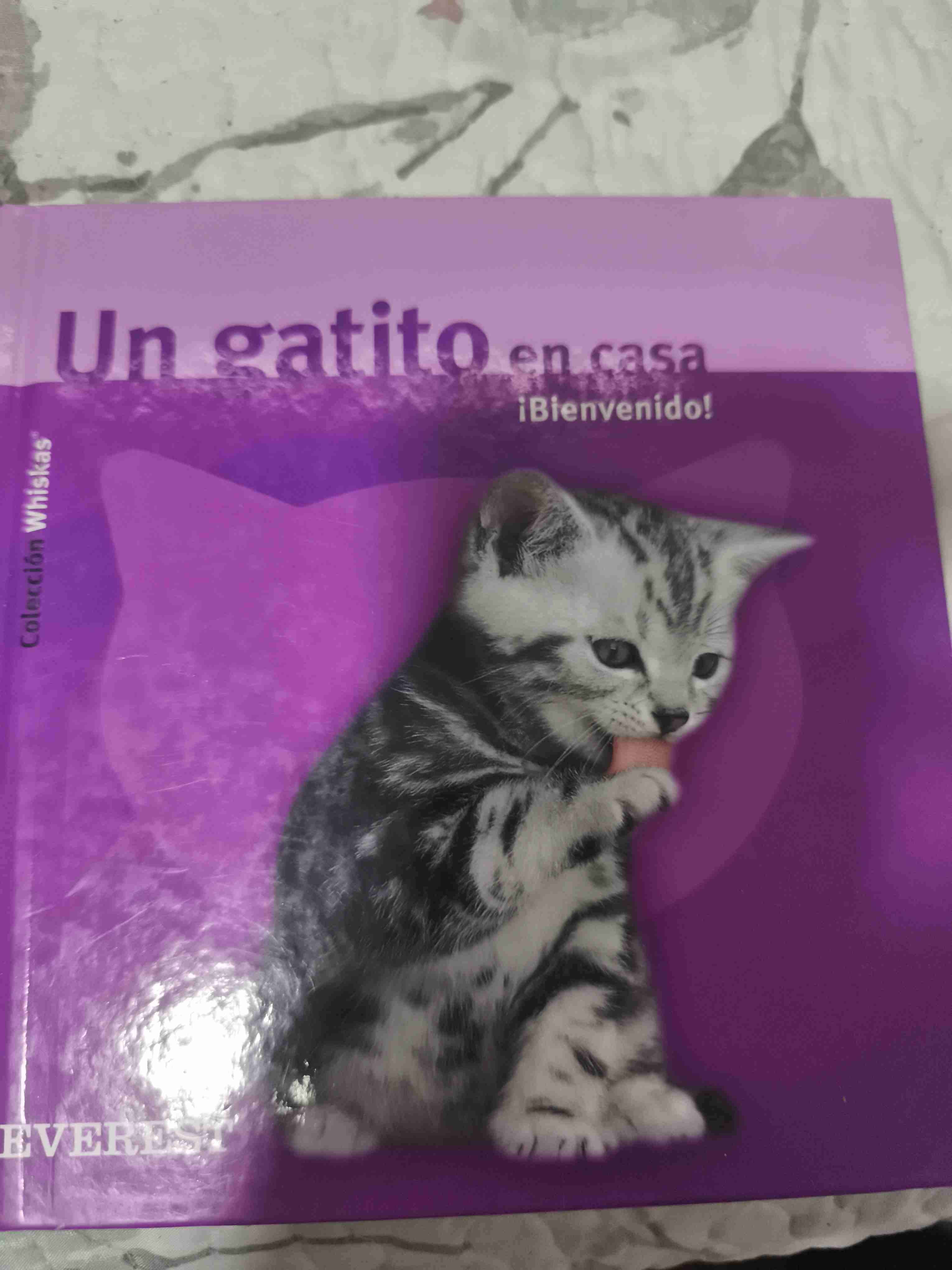 Libro Un gatito en casa - tapa dura