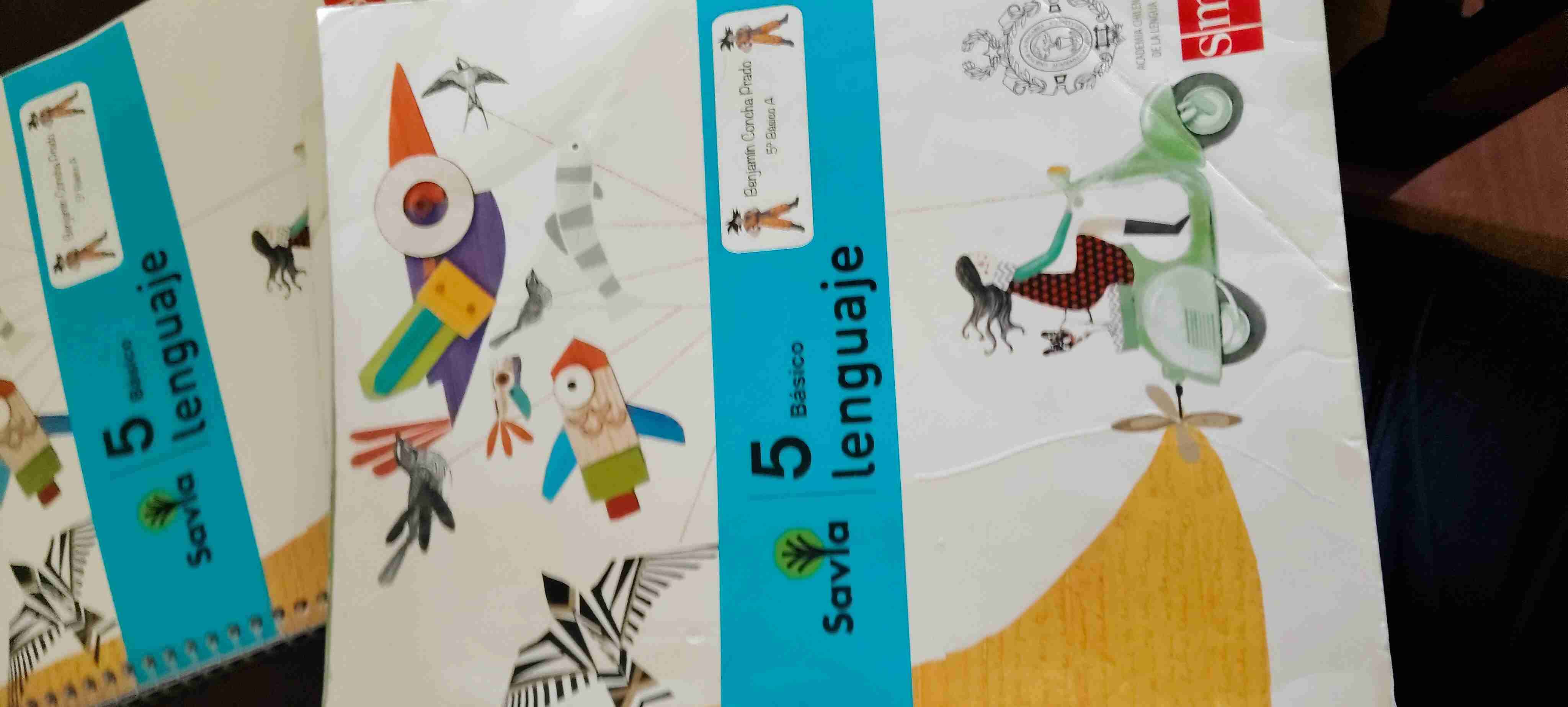 Combo Savia Cuadernos 5to básico Lenguaje - miniatura 2