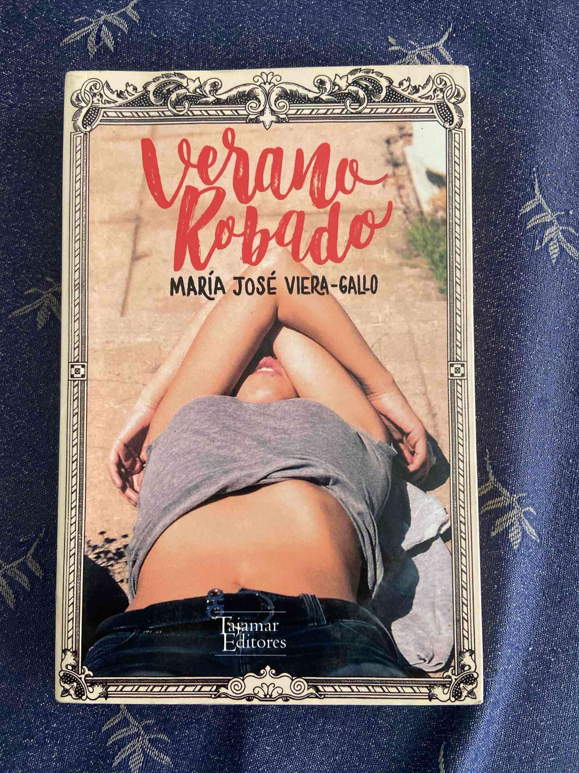Libro Verano Robado