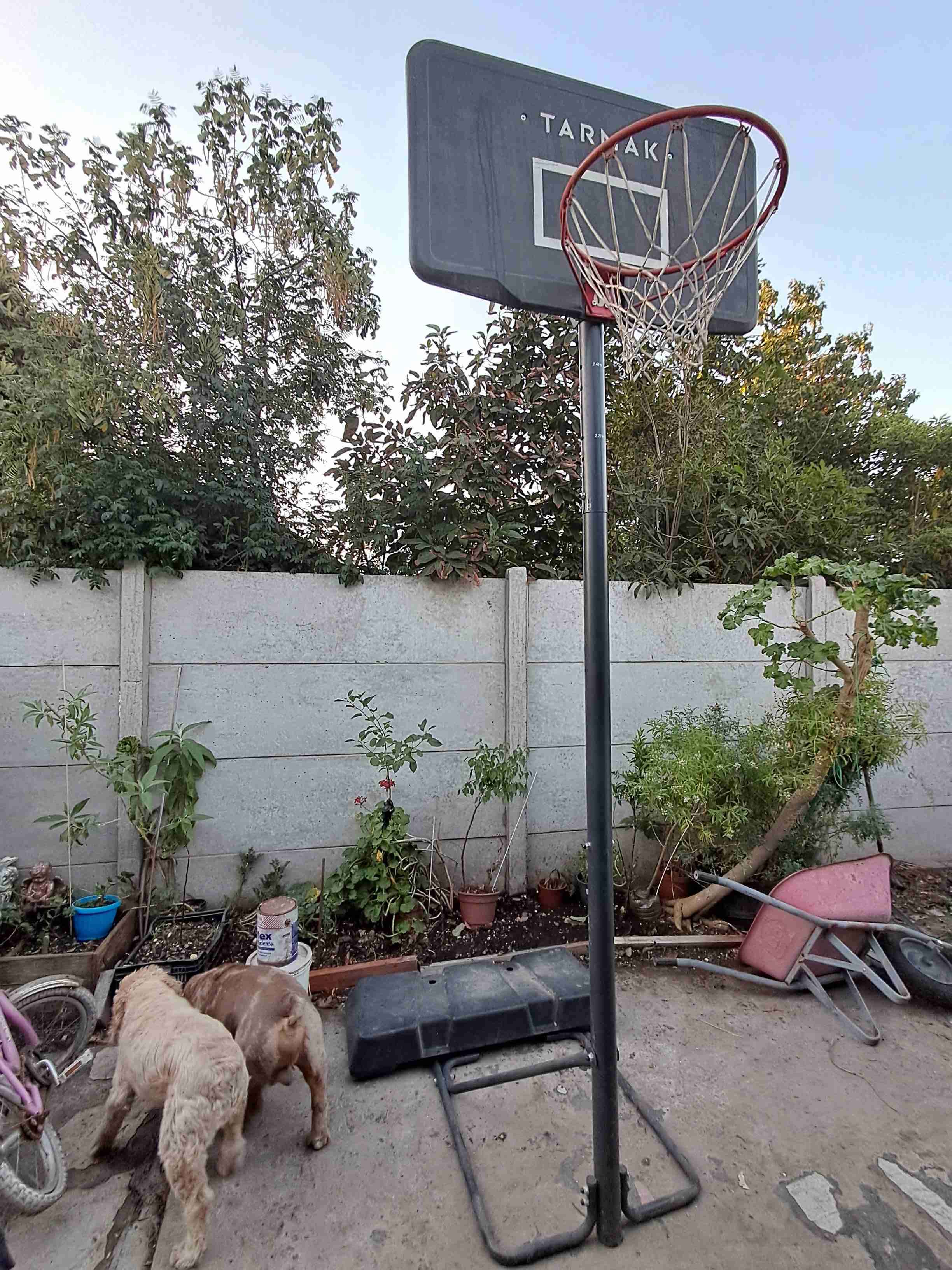 Aro de básquetbol portátil