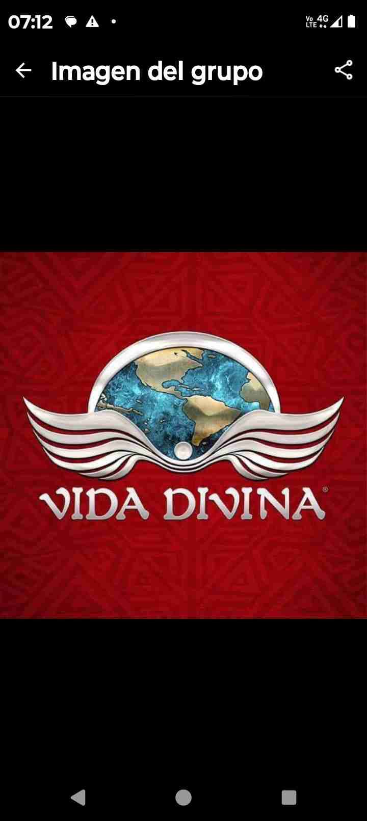 Pack de té Divina - miniatura 3