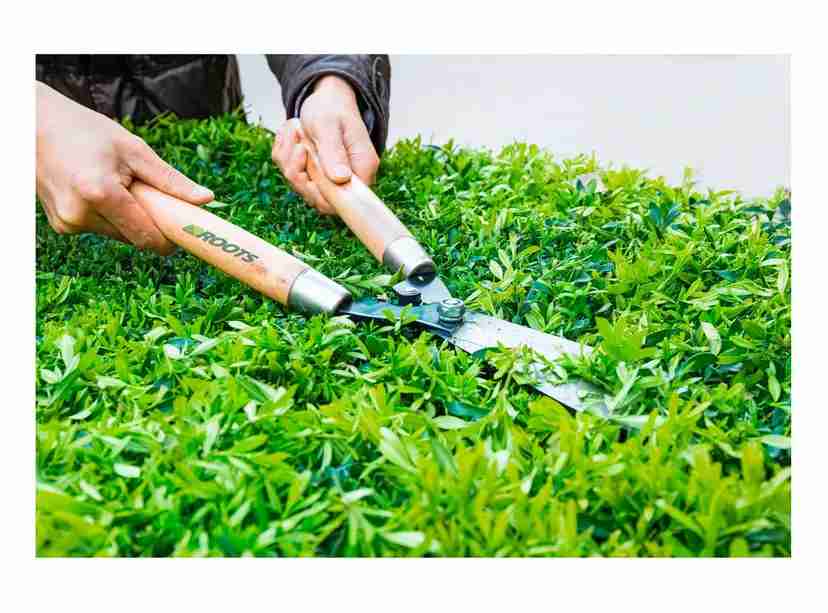 Tijeras para cortar pasto - miniatura 3