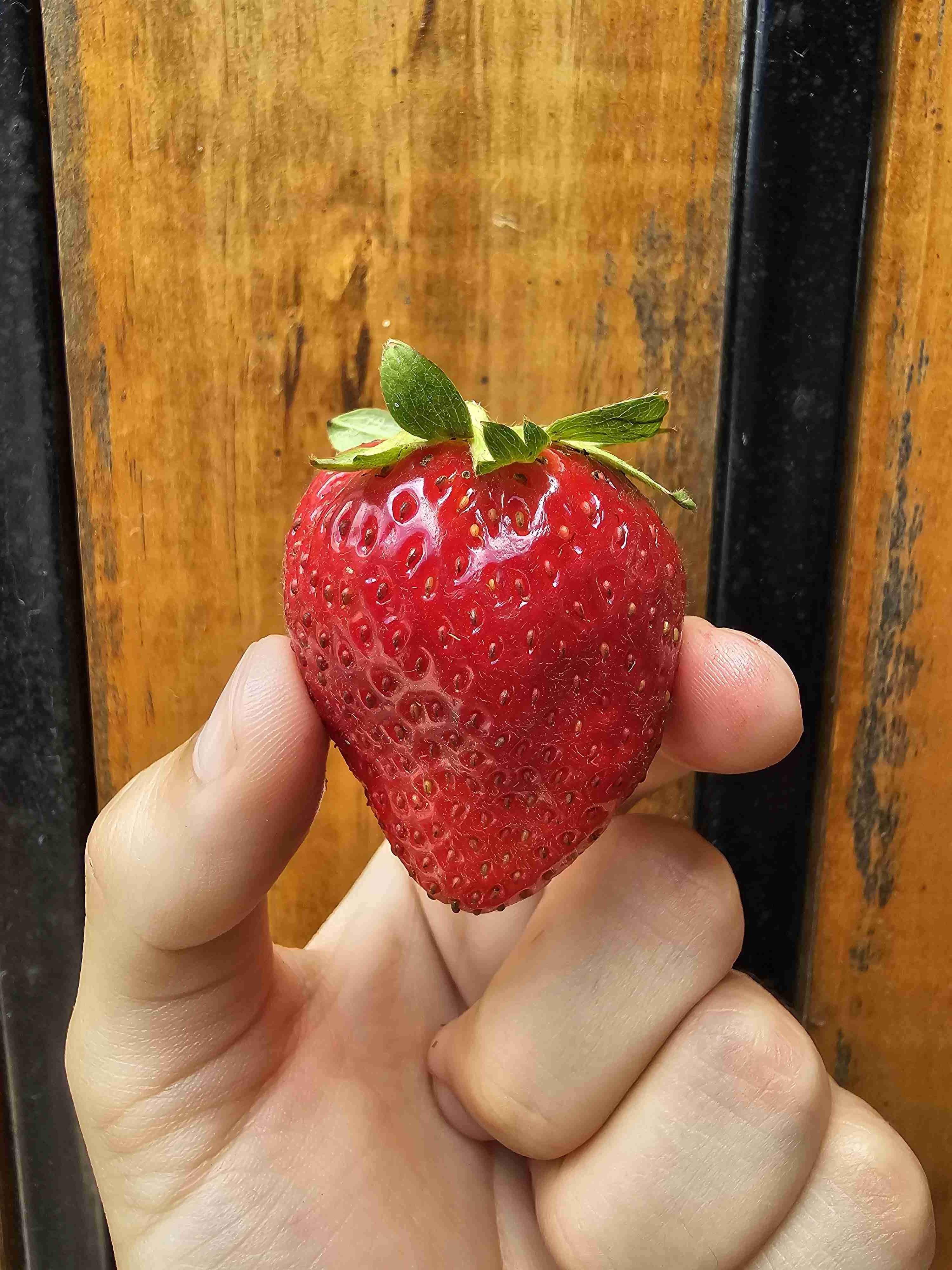 Cajas de frutillas frescas - 3