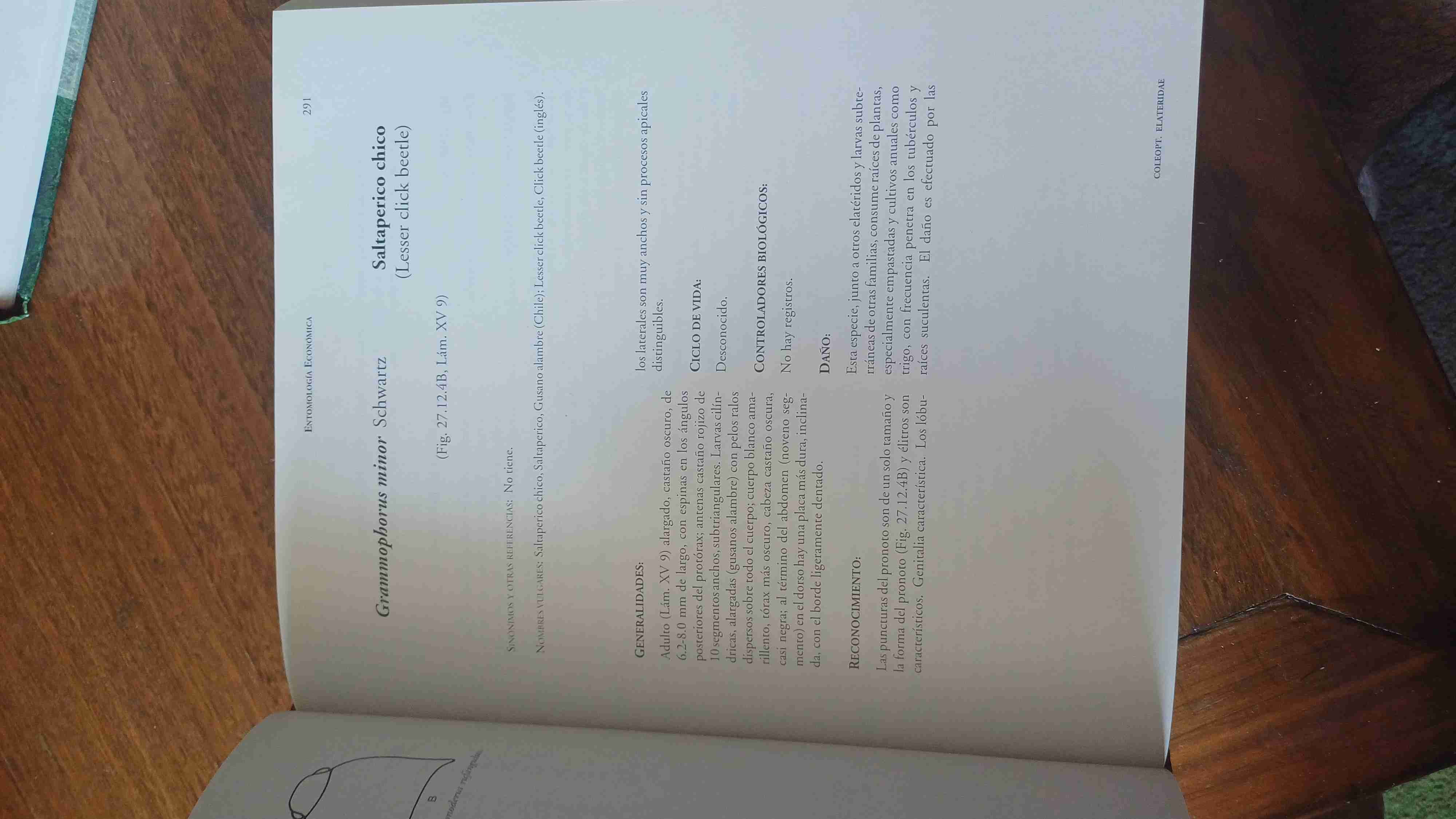 Libro Entomología Económica Vol. 1 - miniatura 6