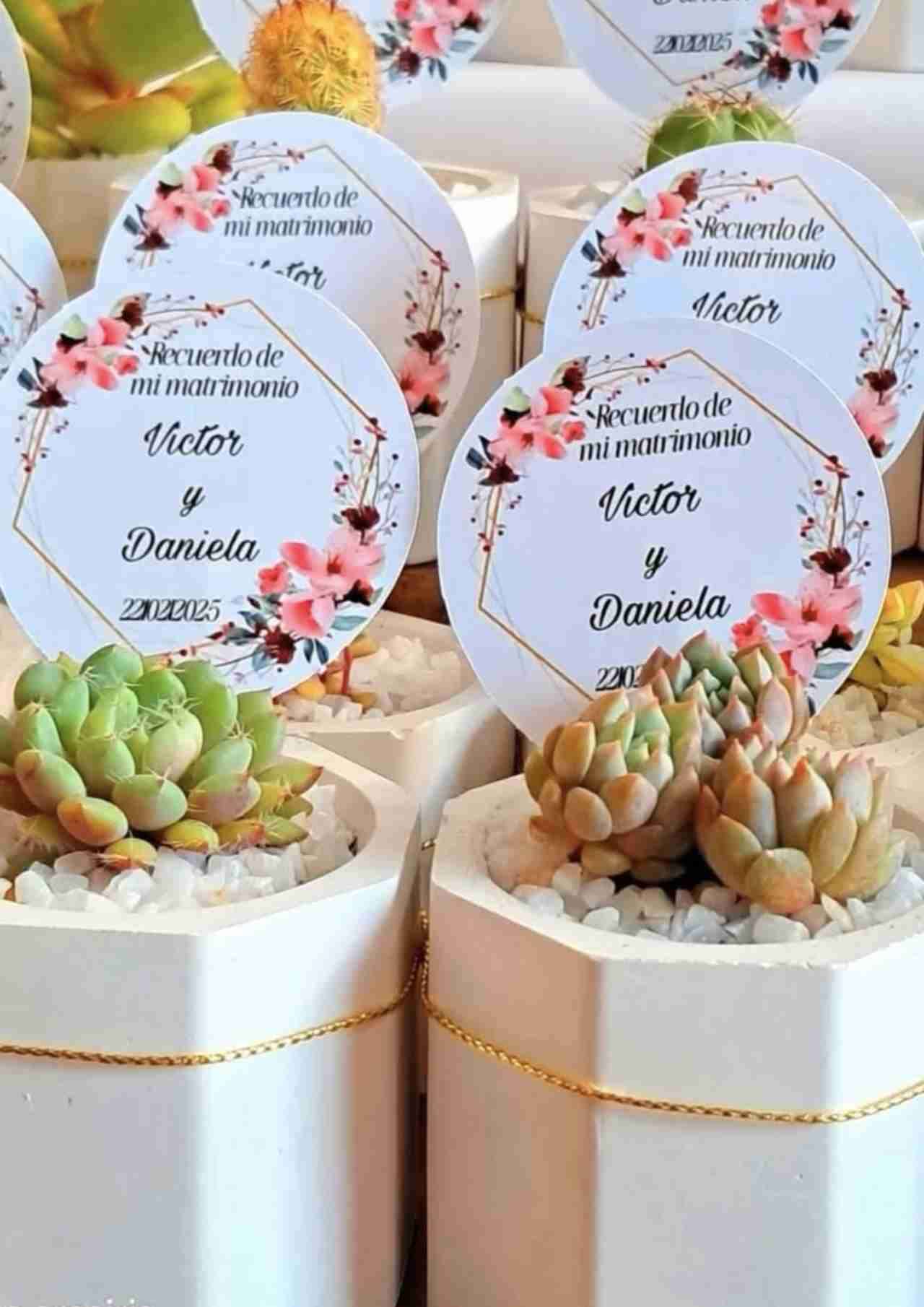 Suculentas en maceteros decorativos - miniatura 3