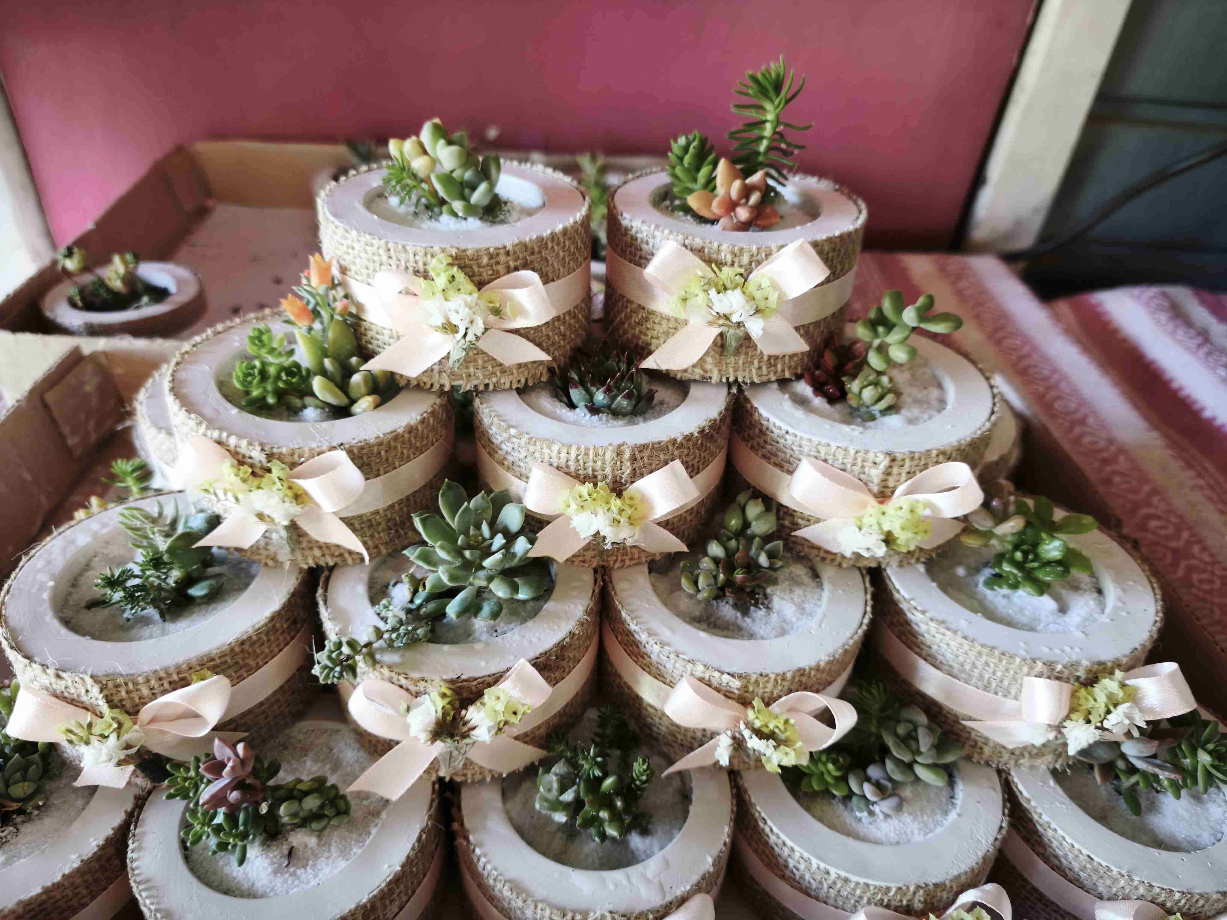 Suculentas en maceteros decorativos - miniatura 4