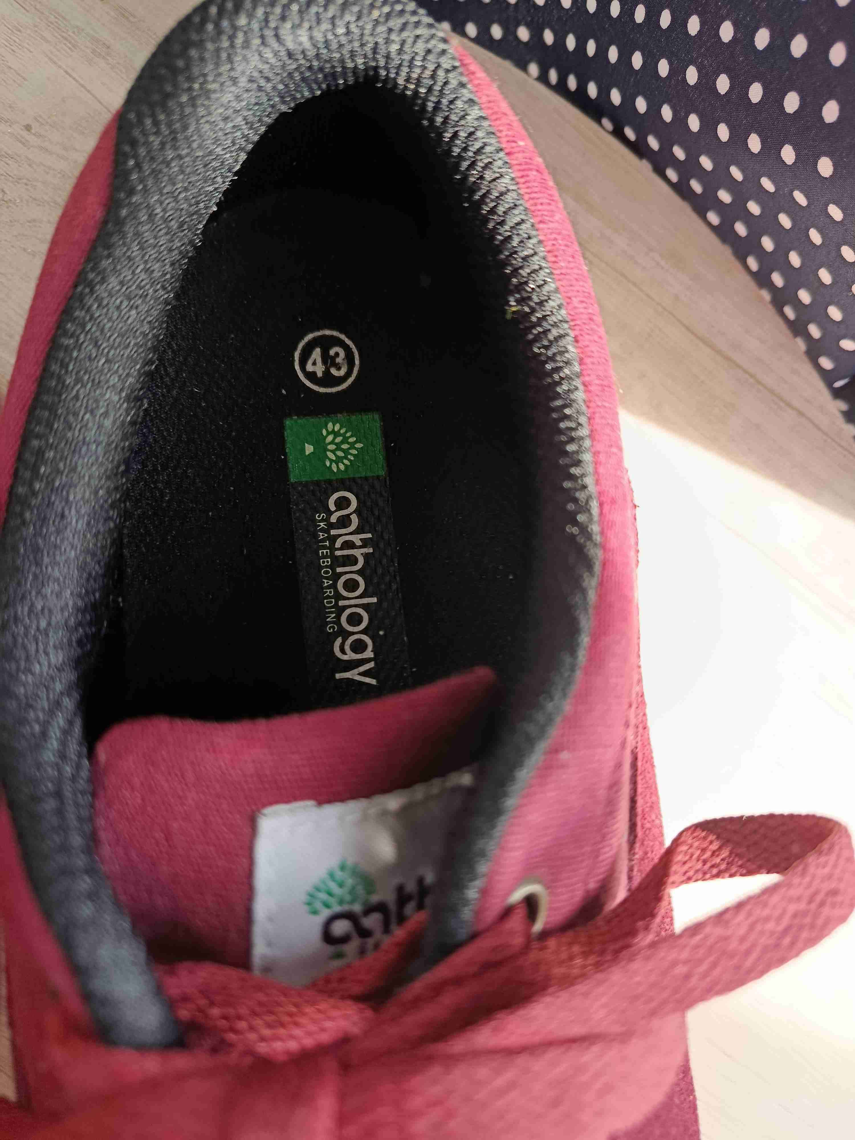 Zapatillas burdeos Anthology N° 43 (unisex) - miniatura 3