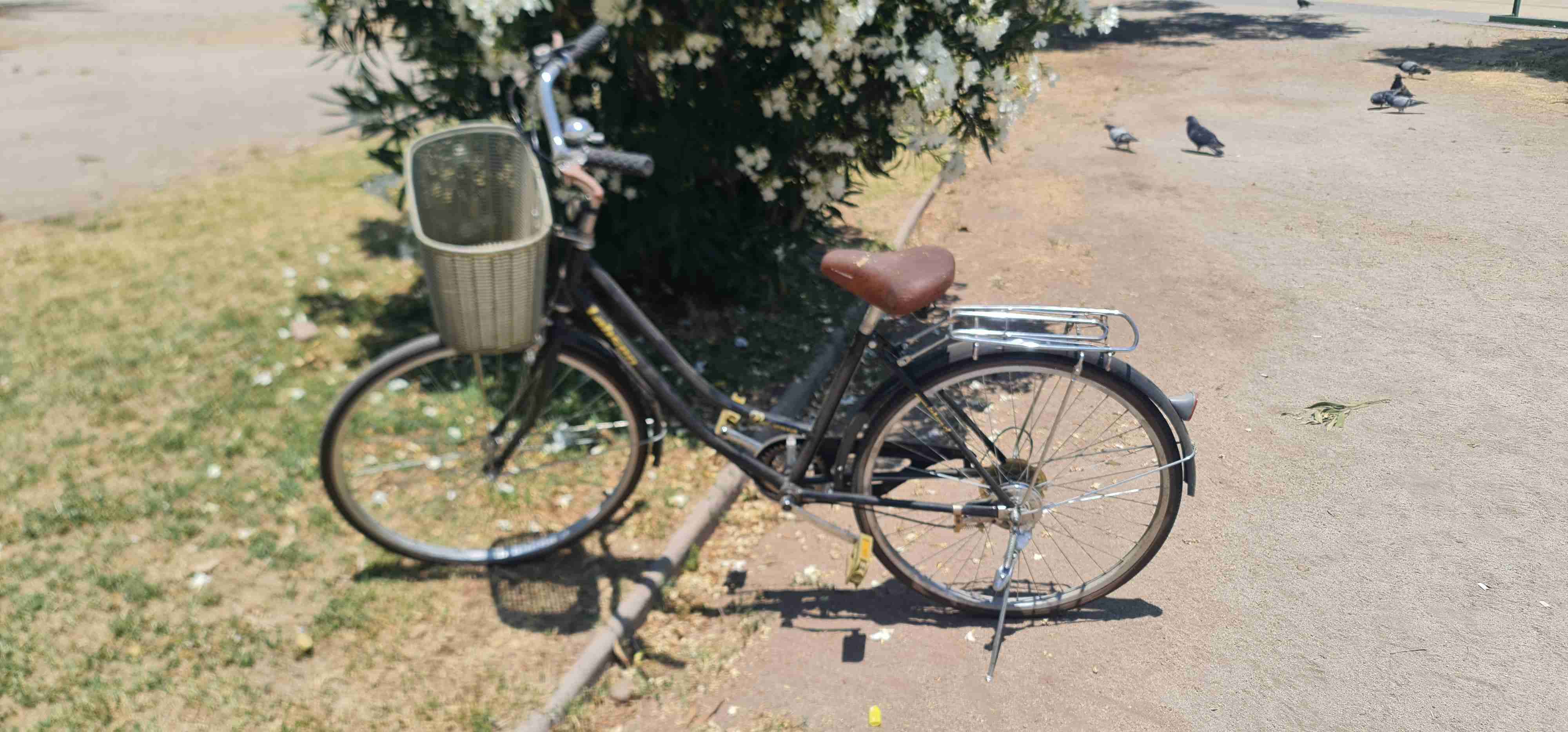 Bicicleta urbana con canastillo - miniatura 2