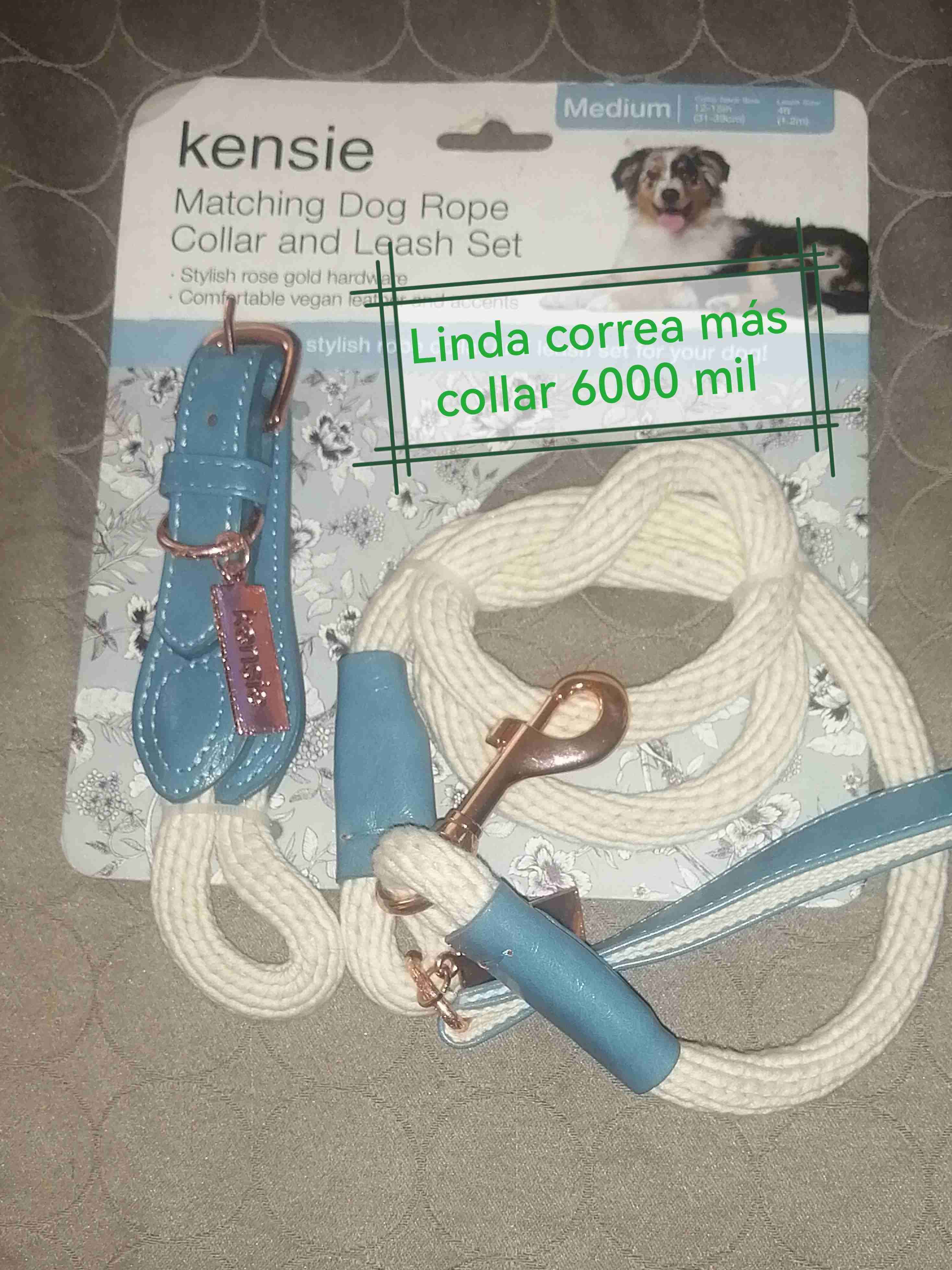 Set correa y collar para perro