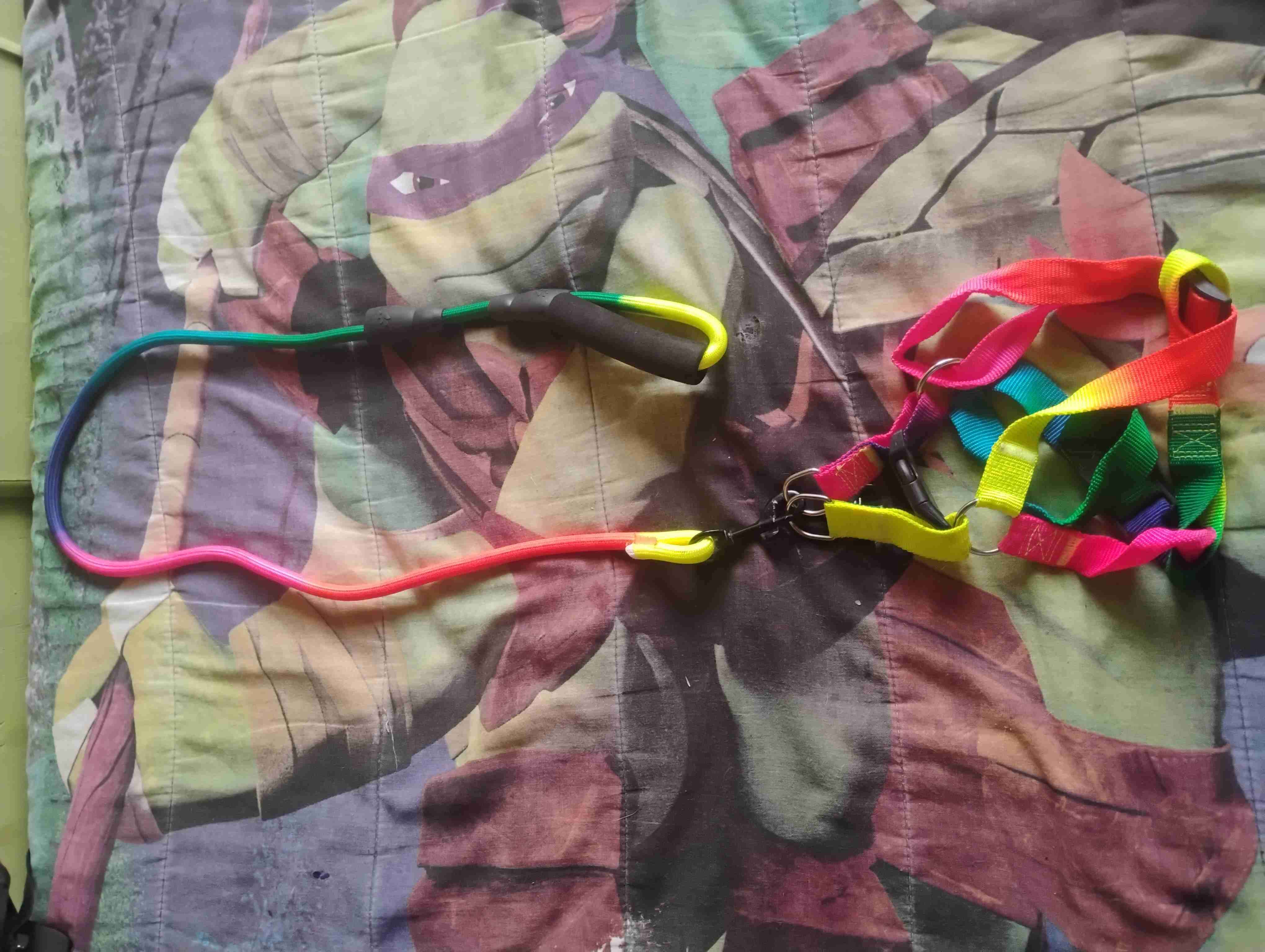 Correa arcoíris para perro