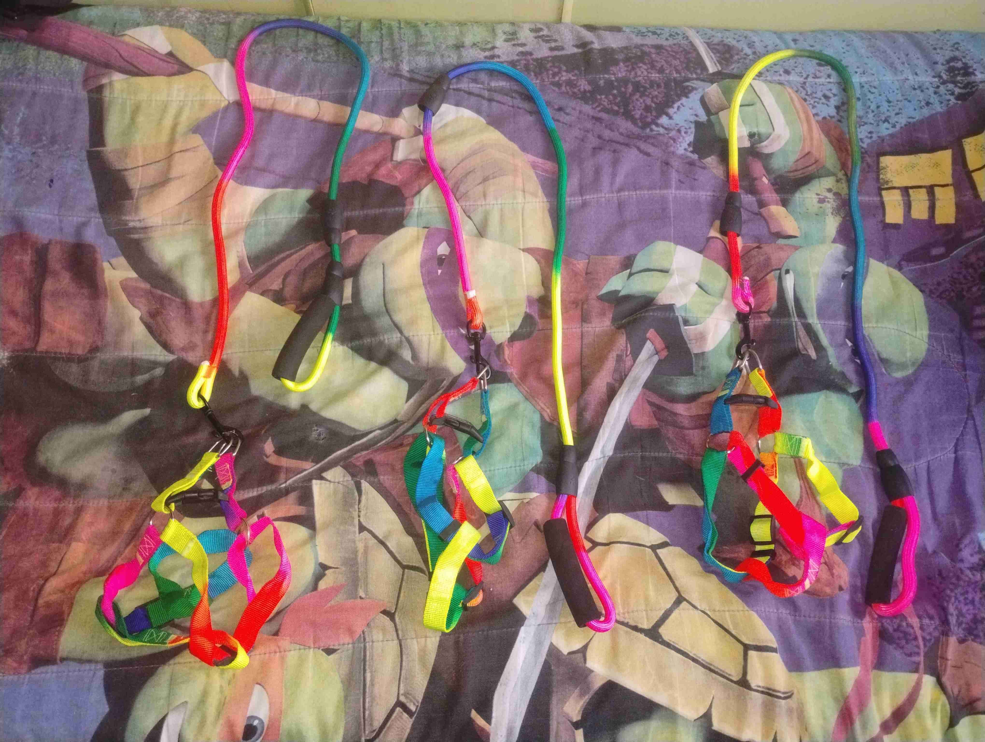 Correa arcoíris para perro - miniatura 2