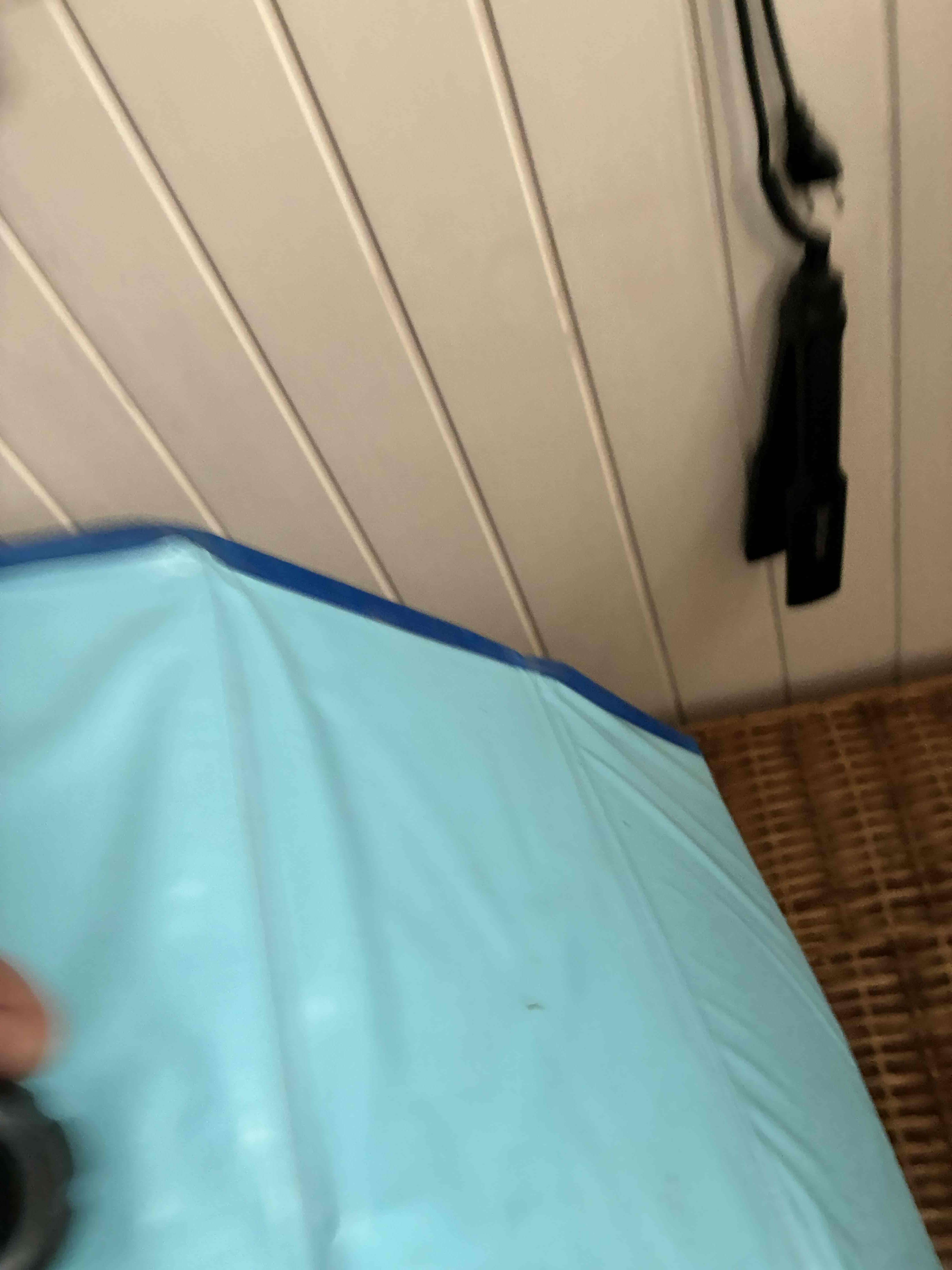 Piscina para mascotas plegable - miniatura 6