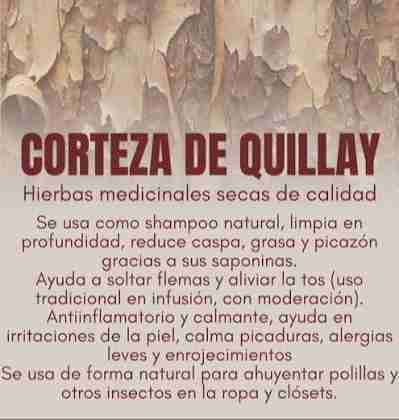 Cortezas de Quillay 3 Unidades - miniatura 2