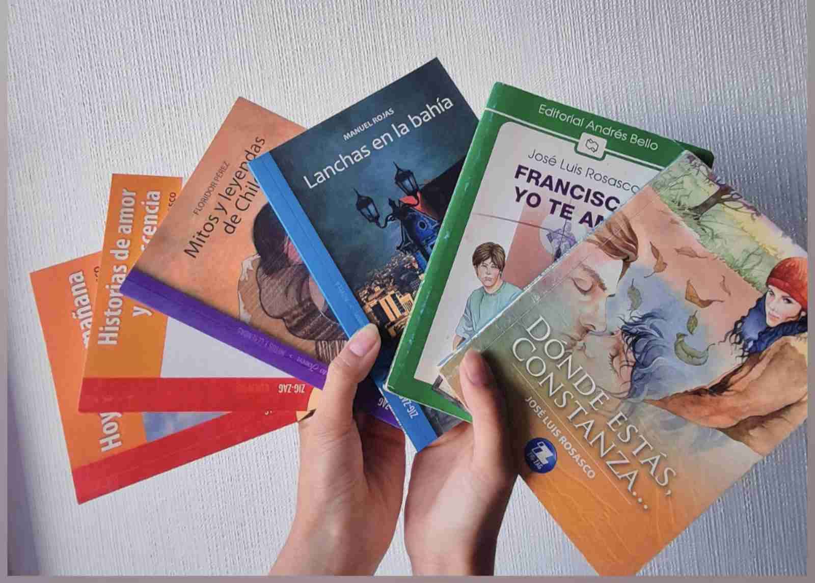 Lote de libros chilenos variados