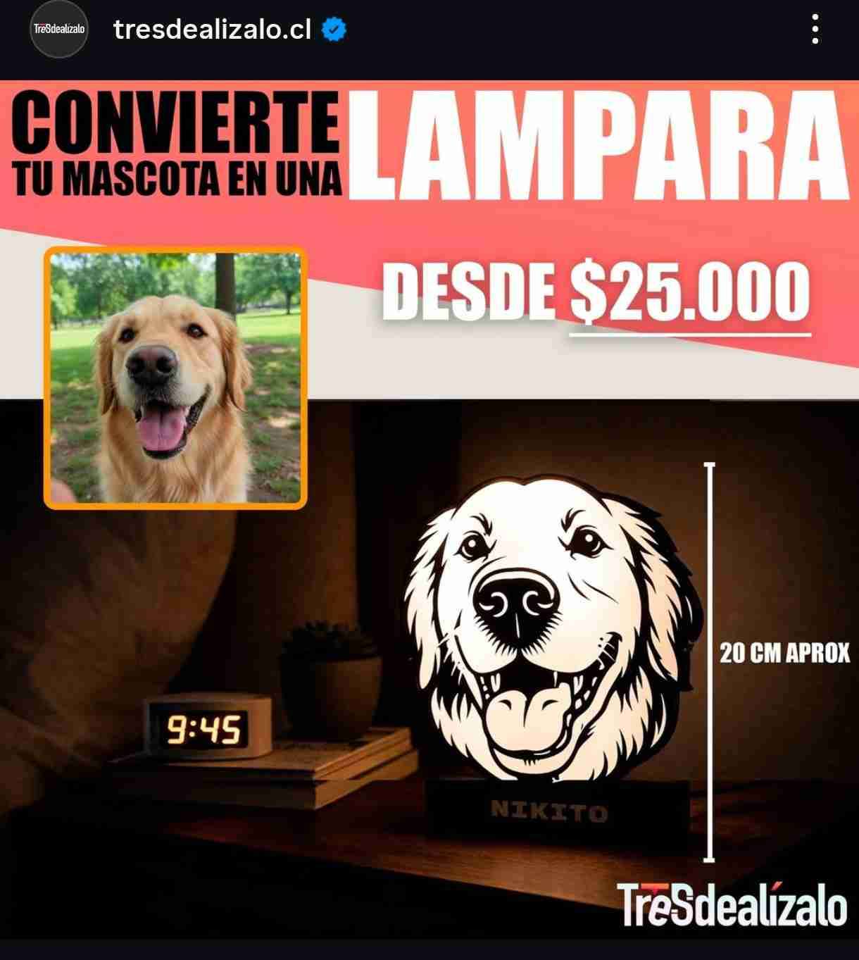 Lámpara personalizada de mascota