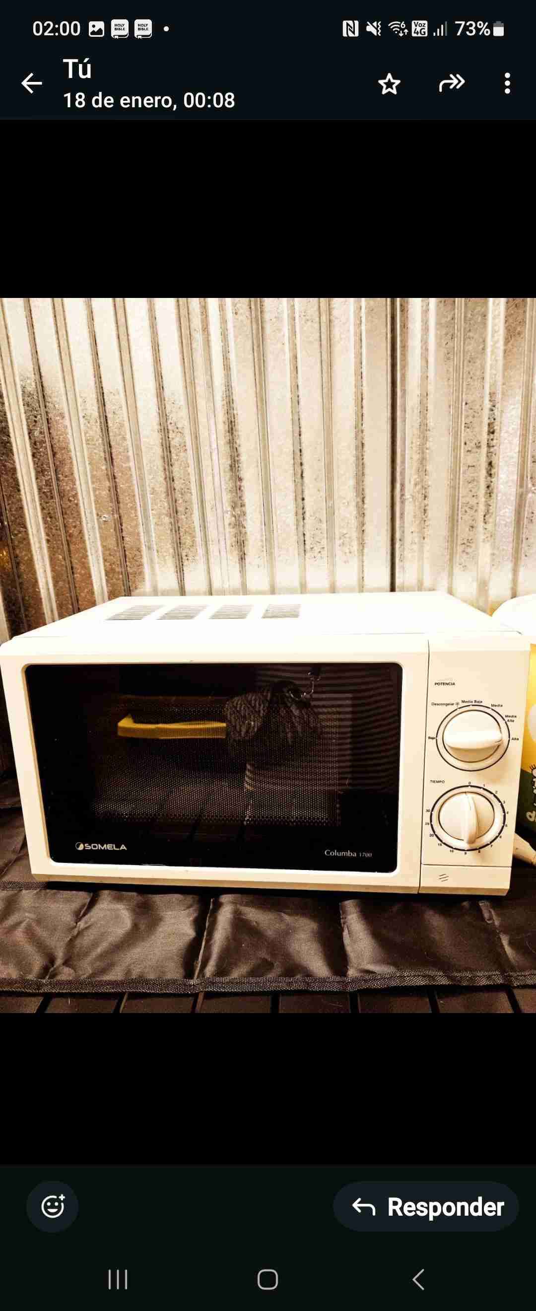 Microondas Somela Columba 1700W