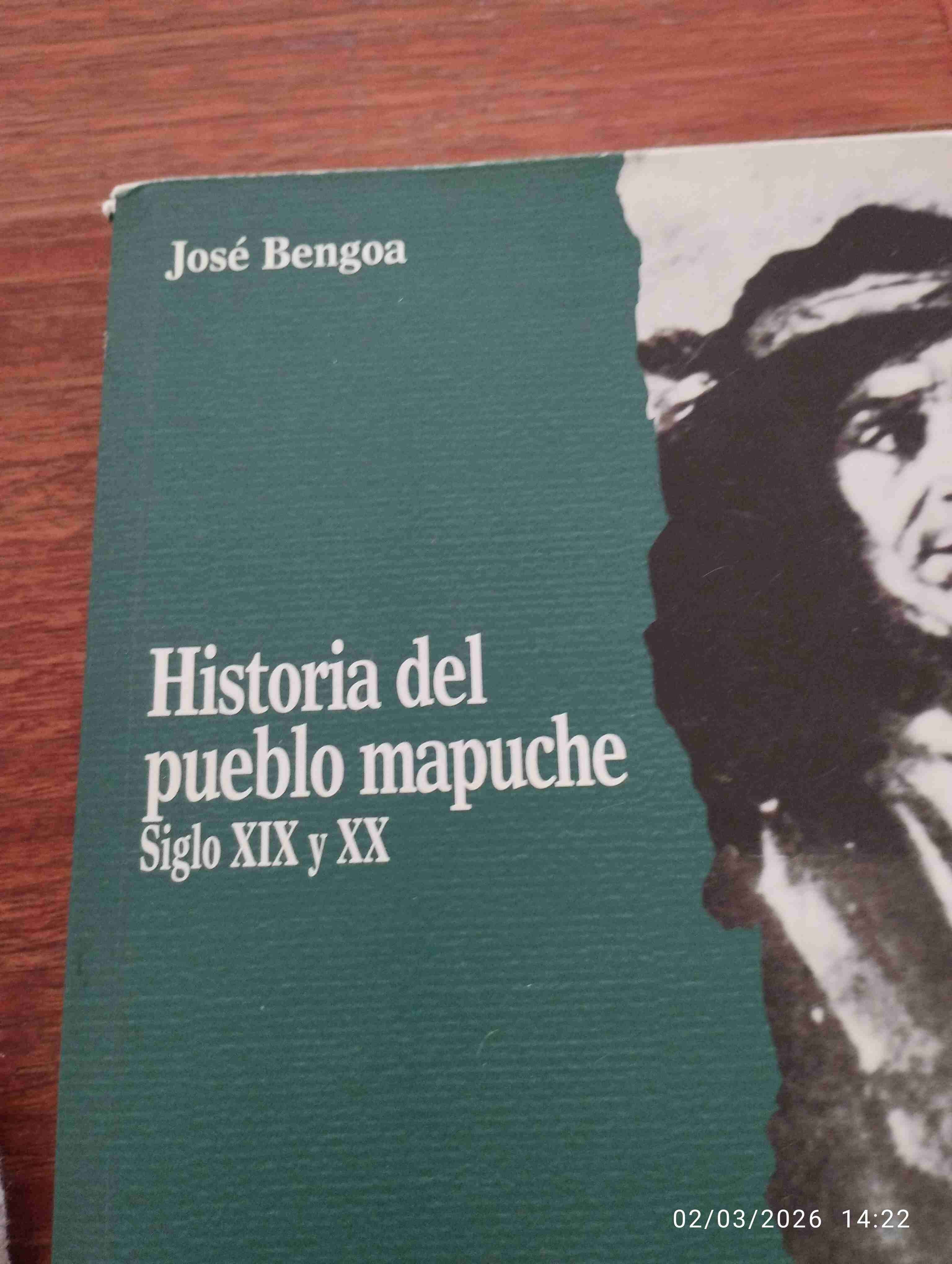 Historia del pueblo mapuche libro - miniatura 3
