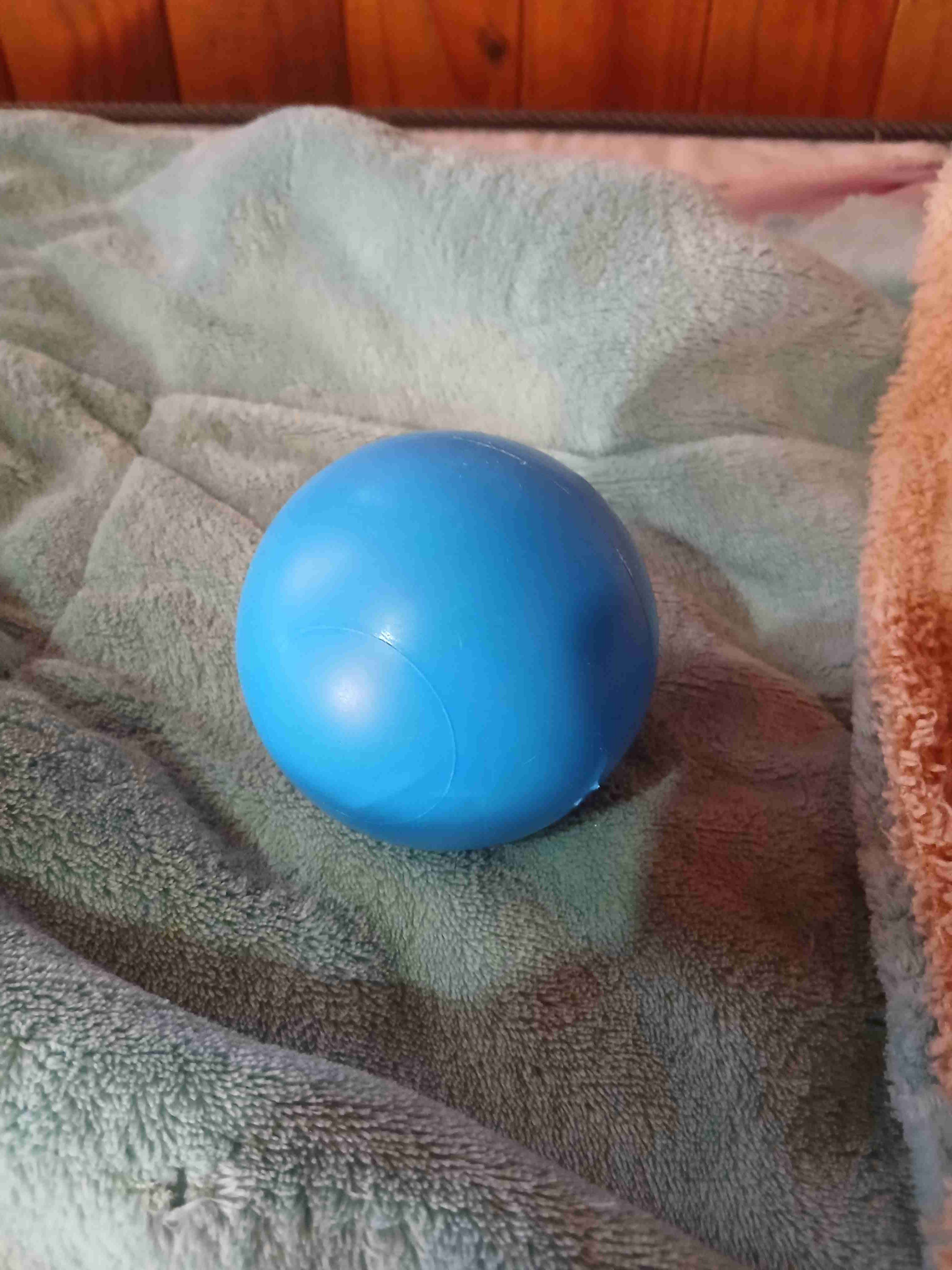 Pelota azul para perros