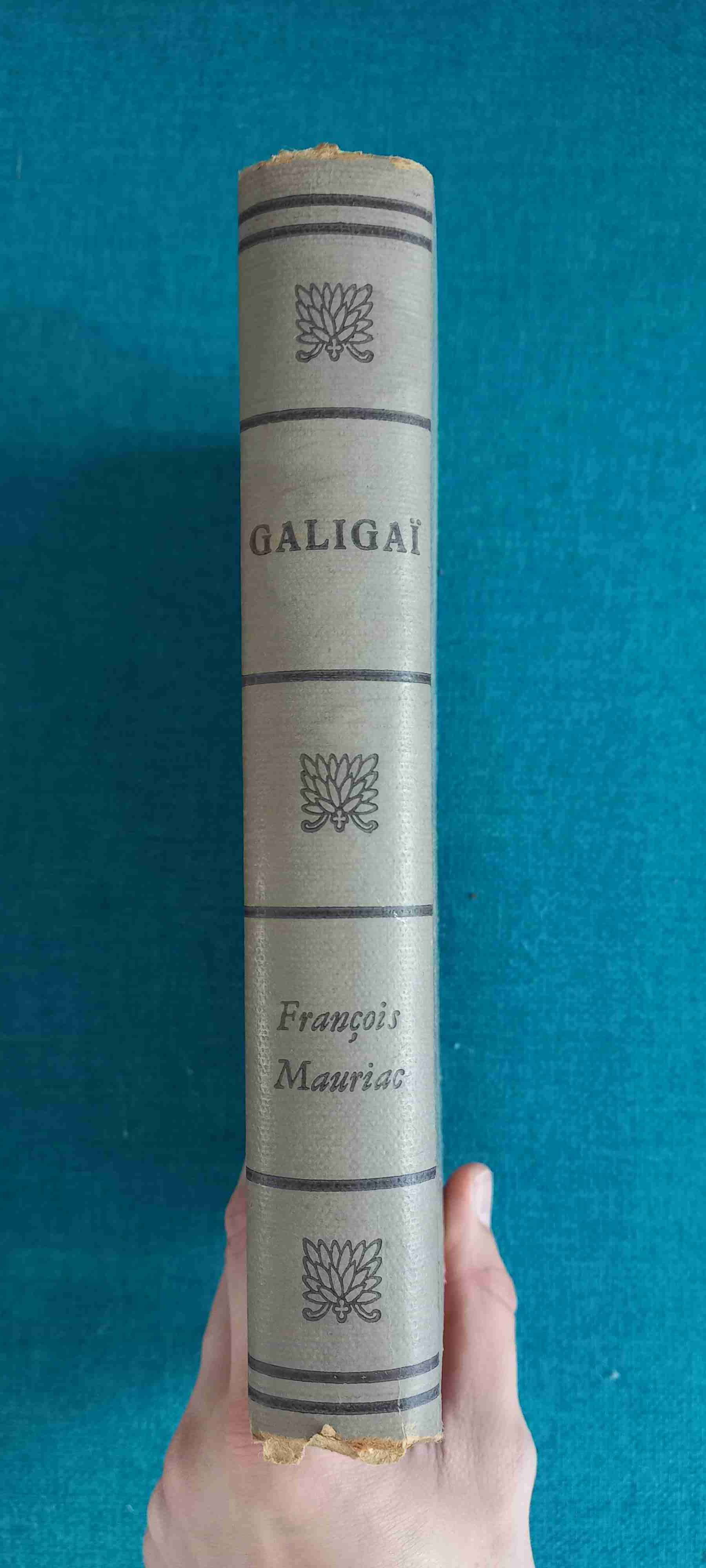 Libro Galigaï François Mauriac - miniatura 4