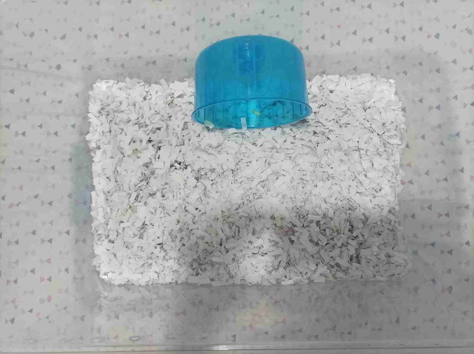 Jaula con sustrato para mascotas