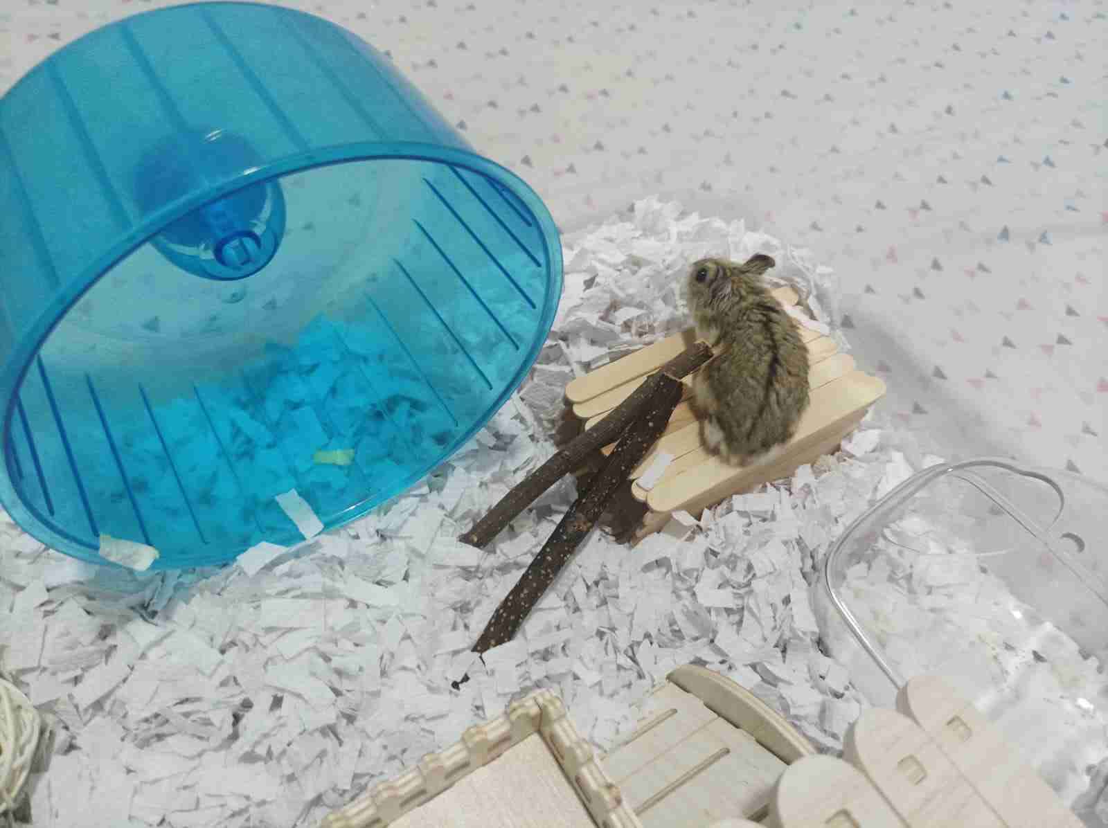 Jaula con sustrato para mascotas - miniatura 4