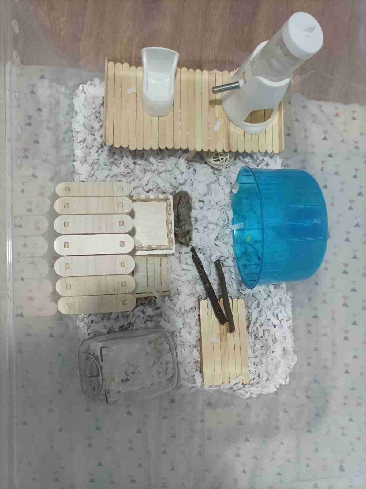 Jaula con sustrato para mascotas - miniatura 5