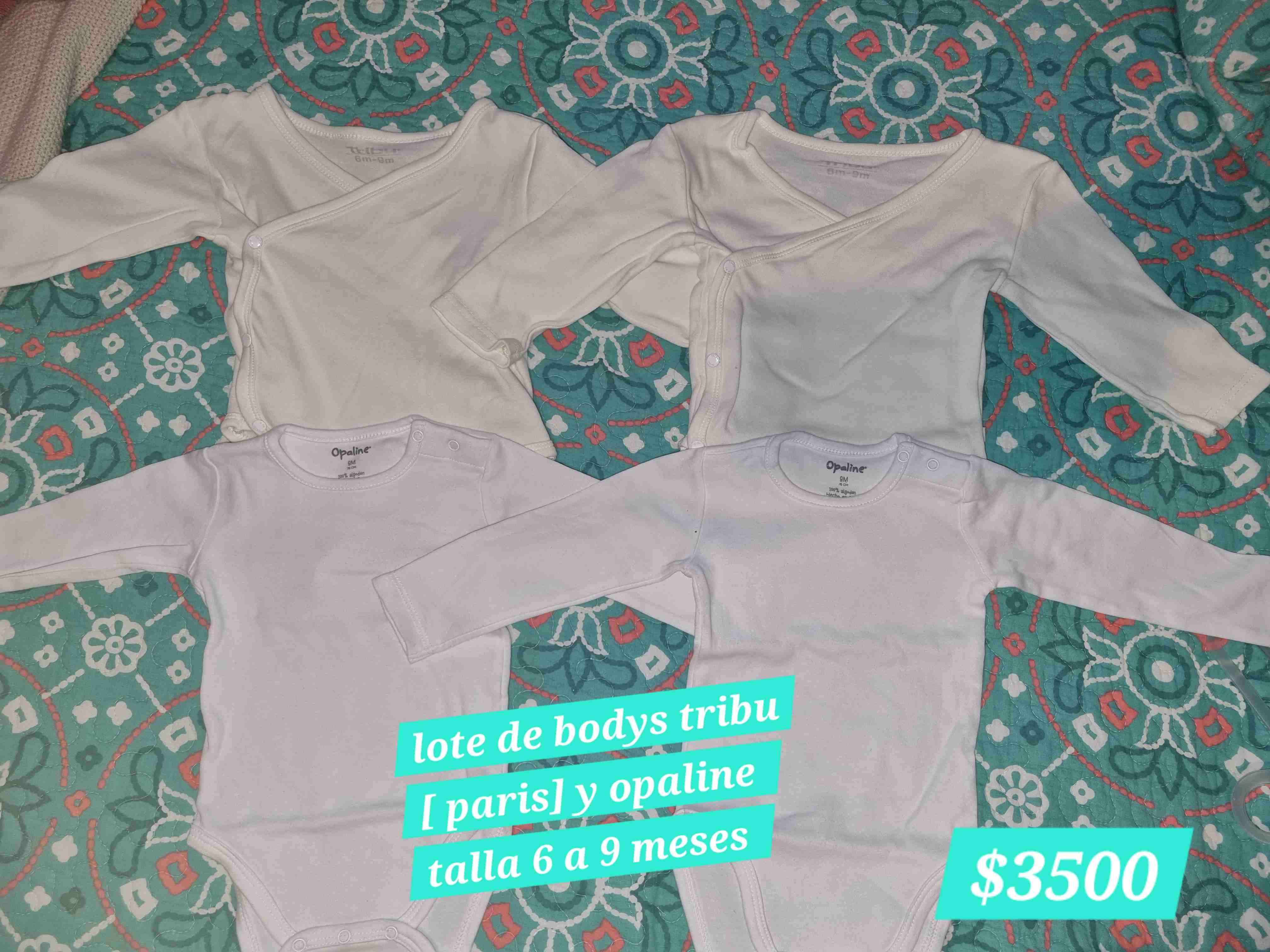 Lote de bodys para bebé talla 6-9 meses