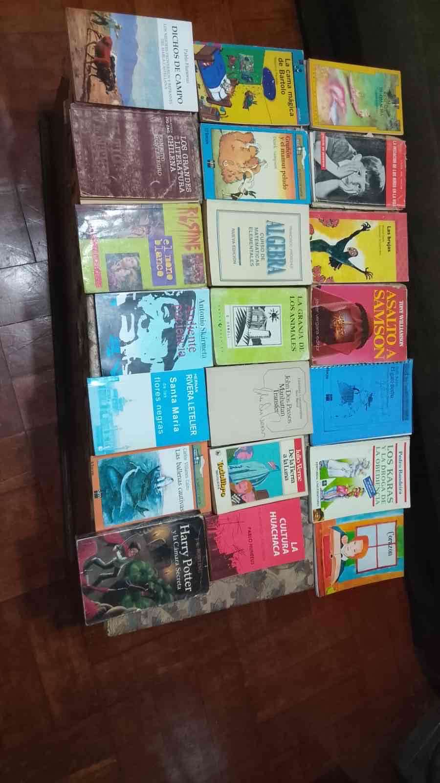 Lote de libros variados