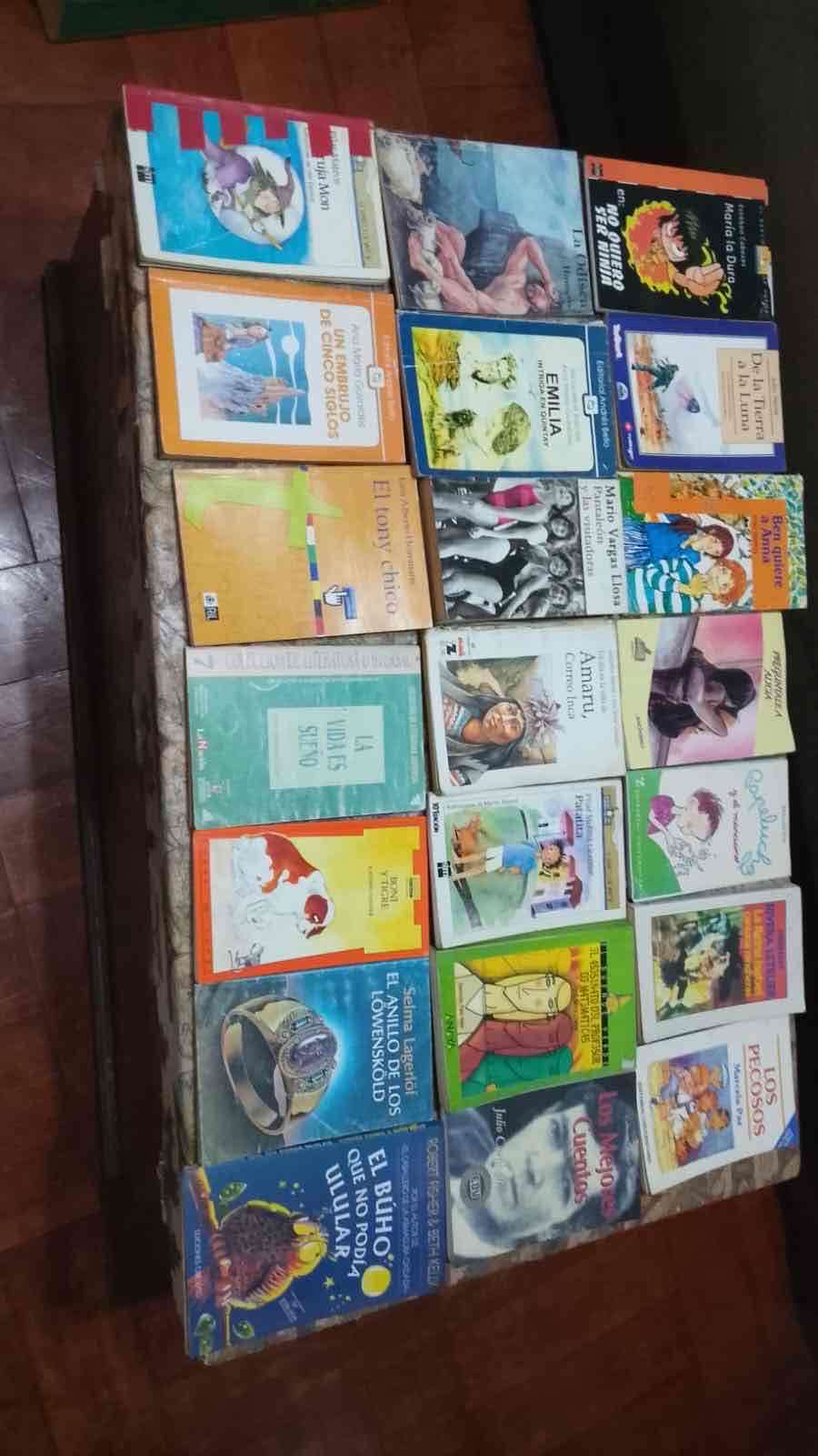 Lote de libros infantiles y juveniles