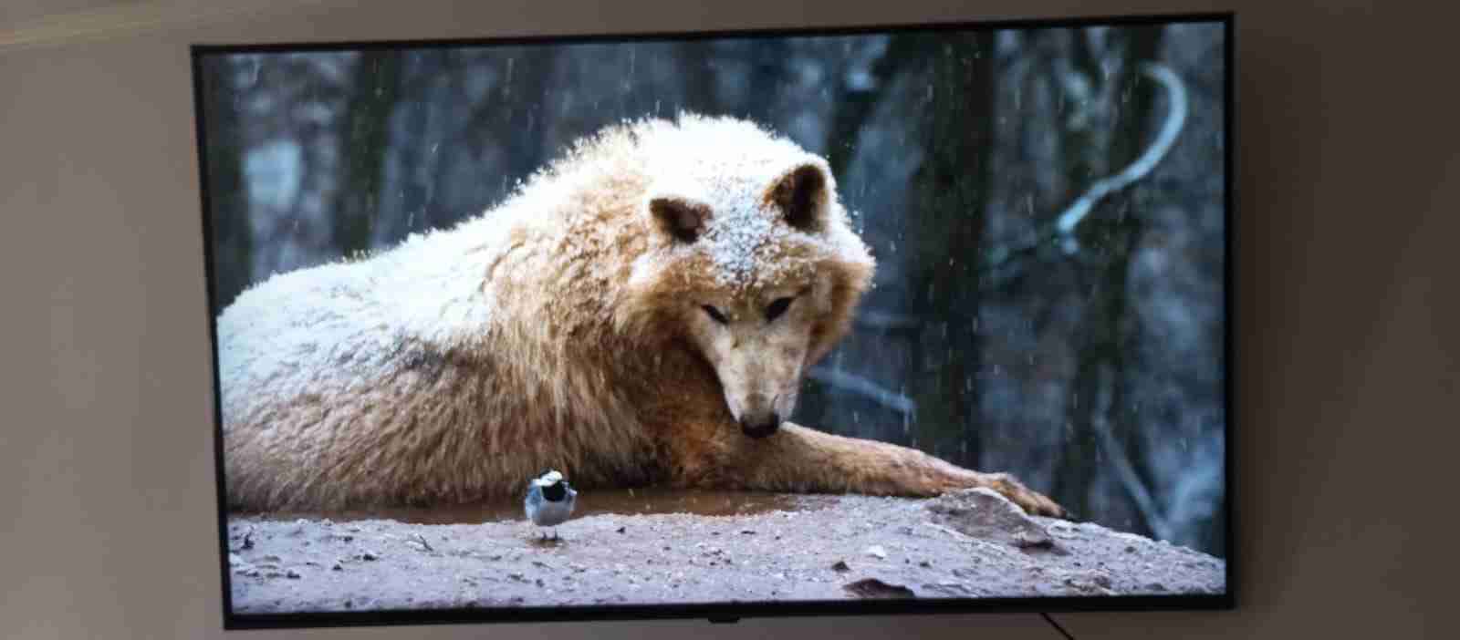 Televisor LG Smart TV grande - miniatura 3