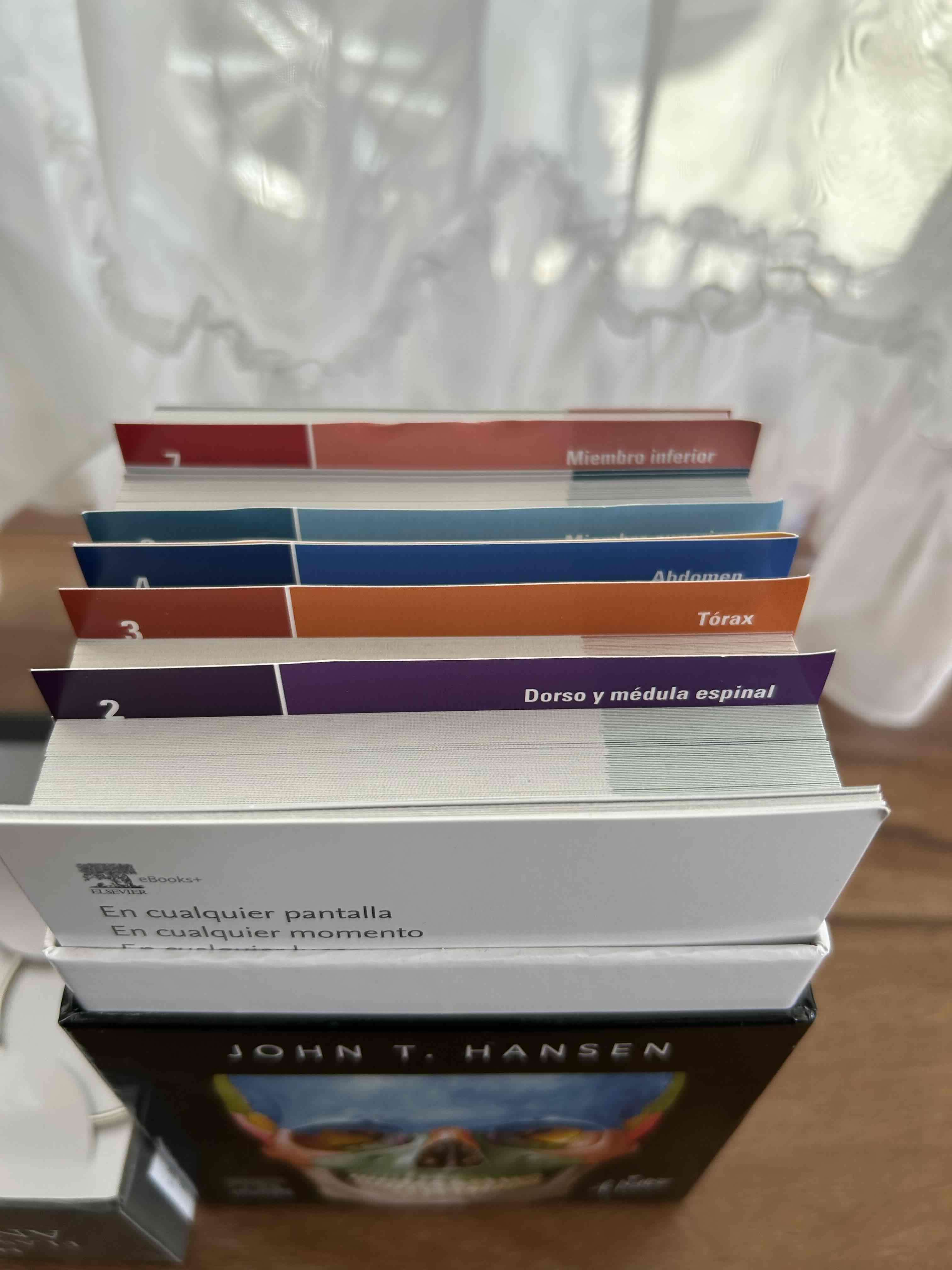 Netter Flashcards de Anatomía edición 6 - miniatura 3