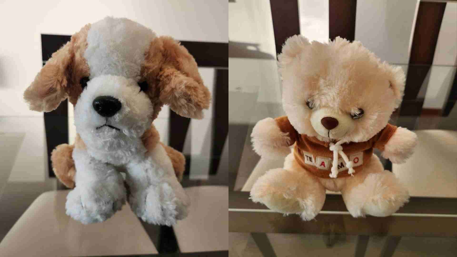 Peluches perrito y oso