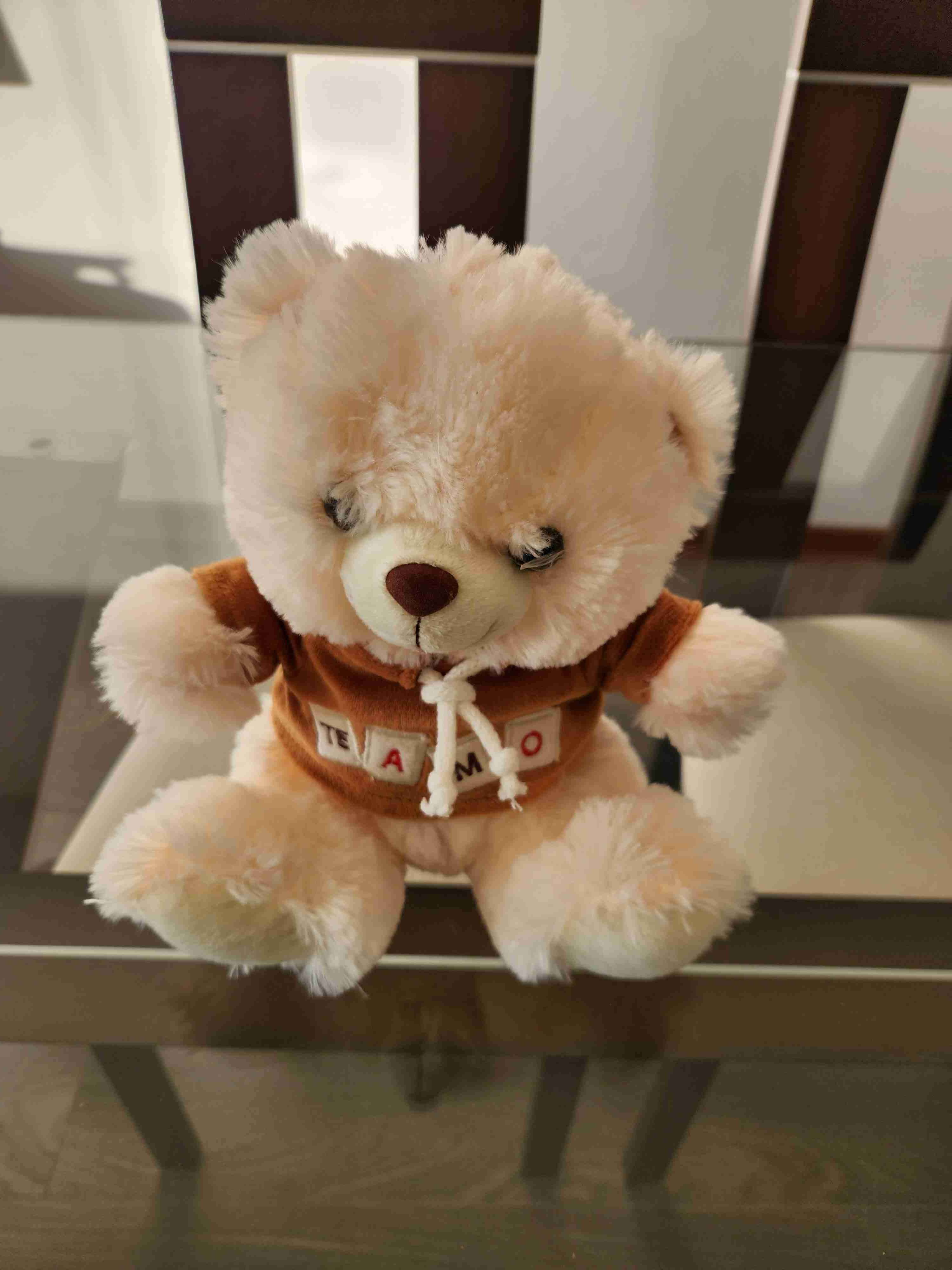 Peluches perrito y oso - miniatura 2