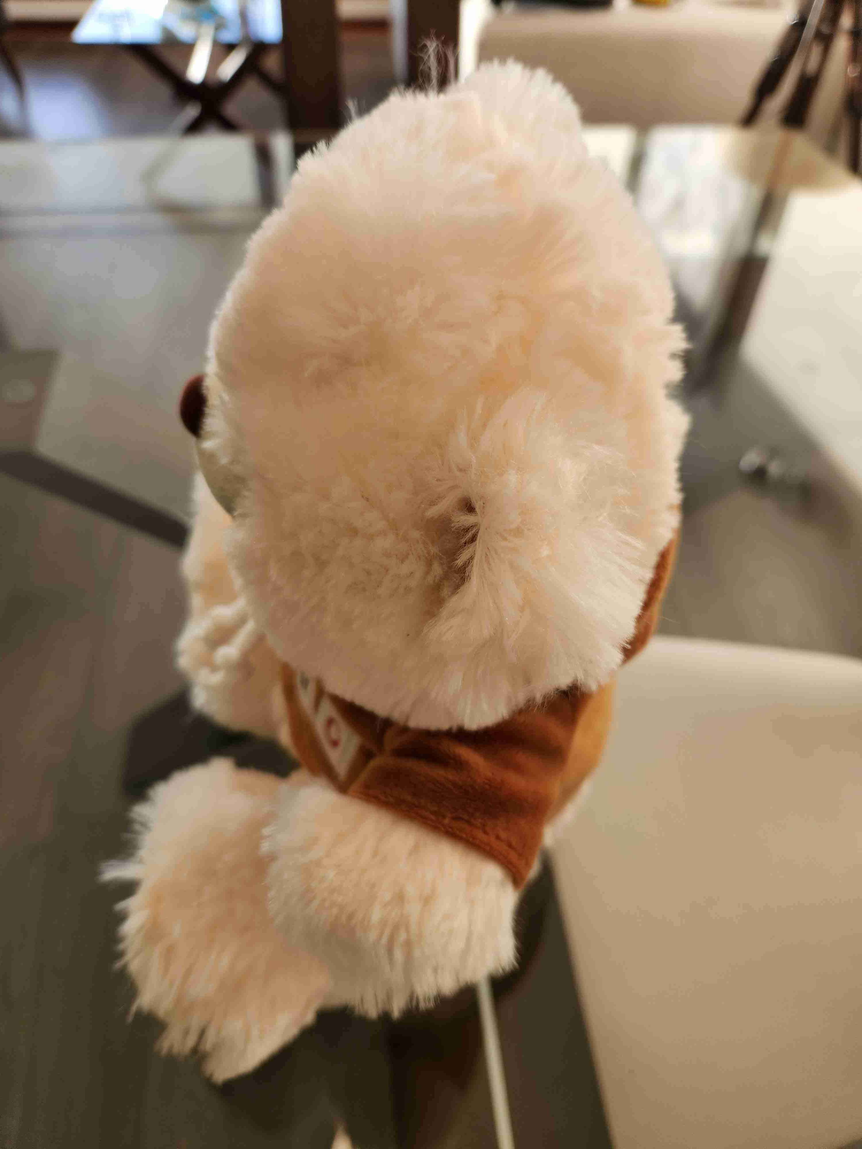 Peluches perrito y oso - miniatura 3