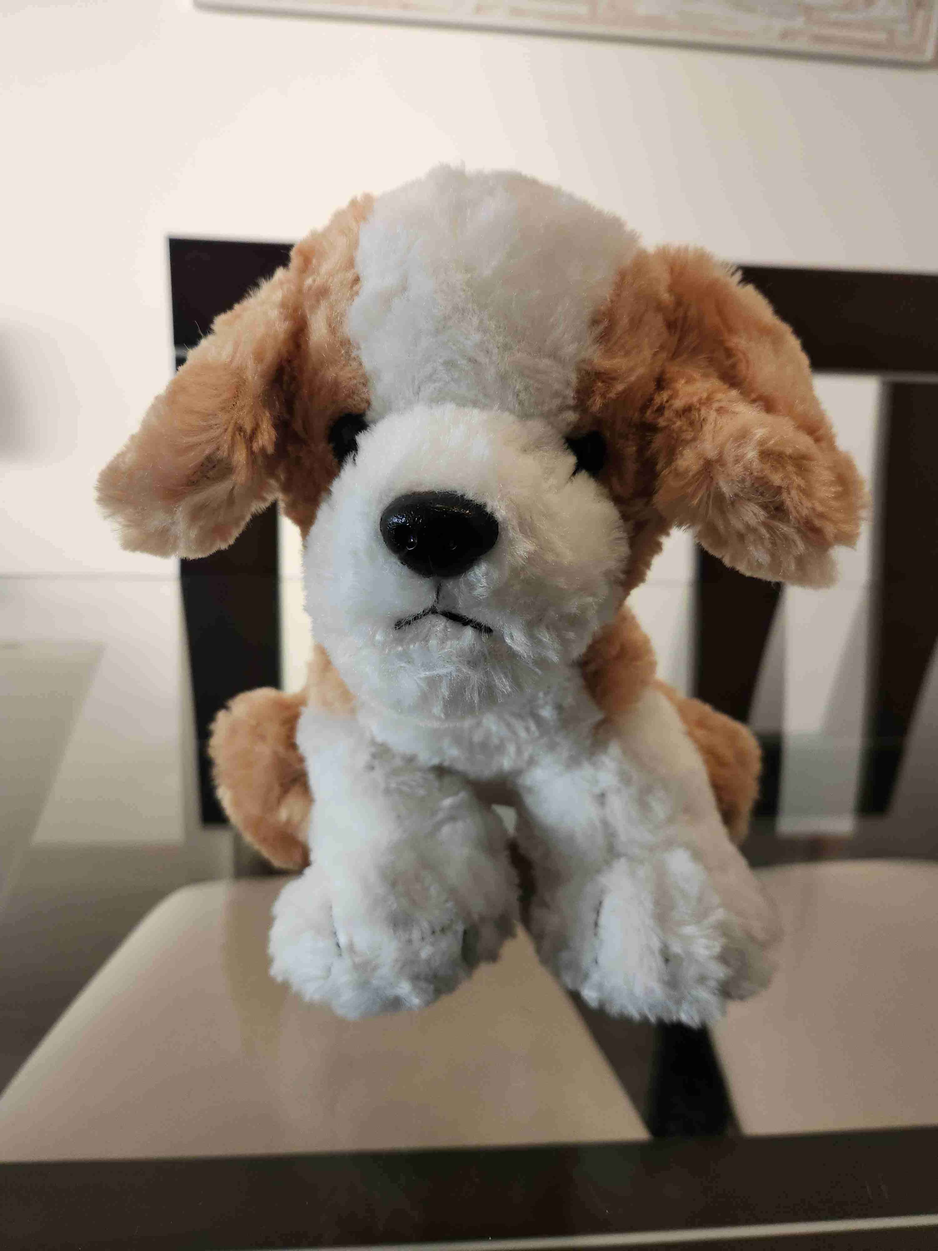 Peluches perrito y oso - miniatura 4