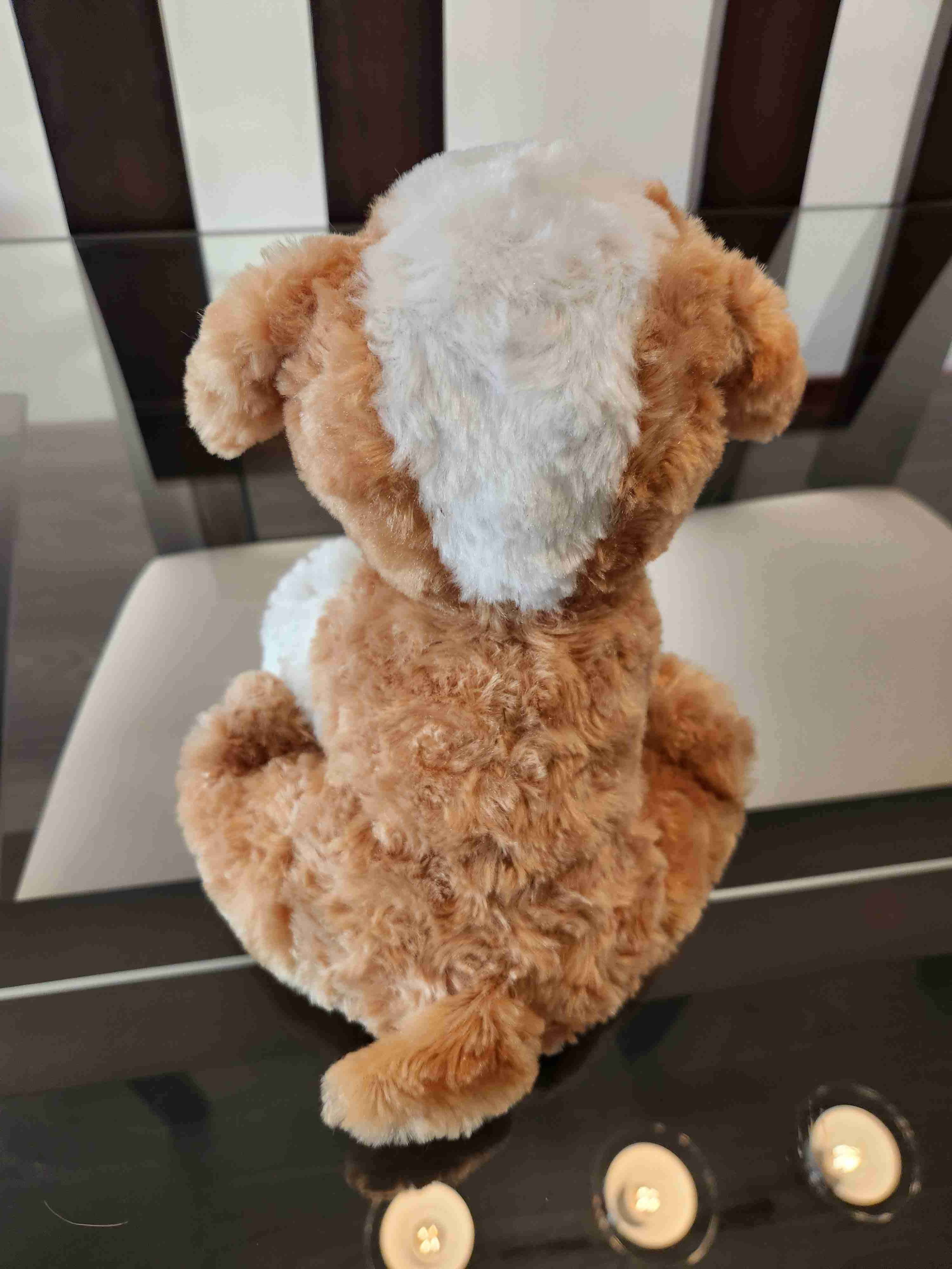 Peluches perrito y oso - miniatura 5