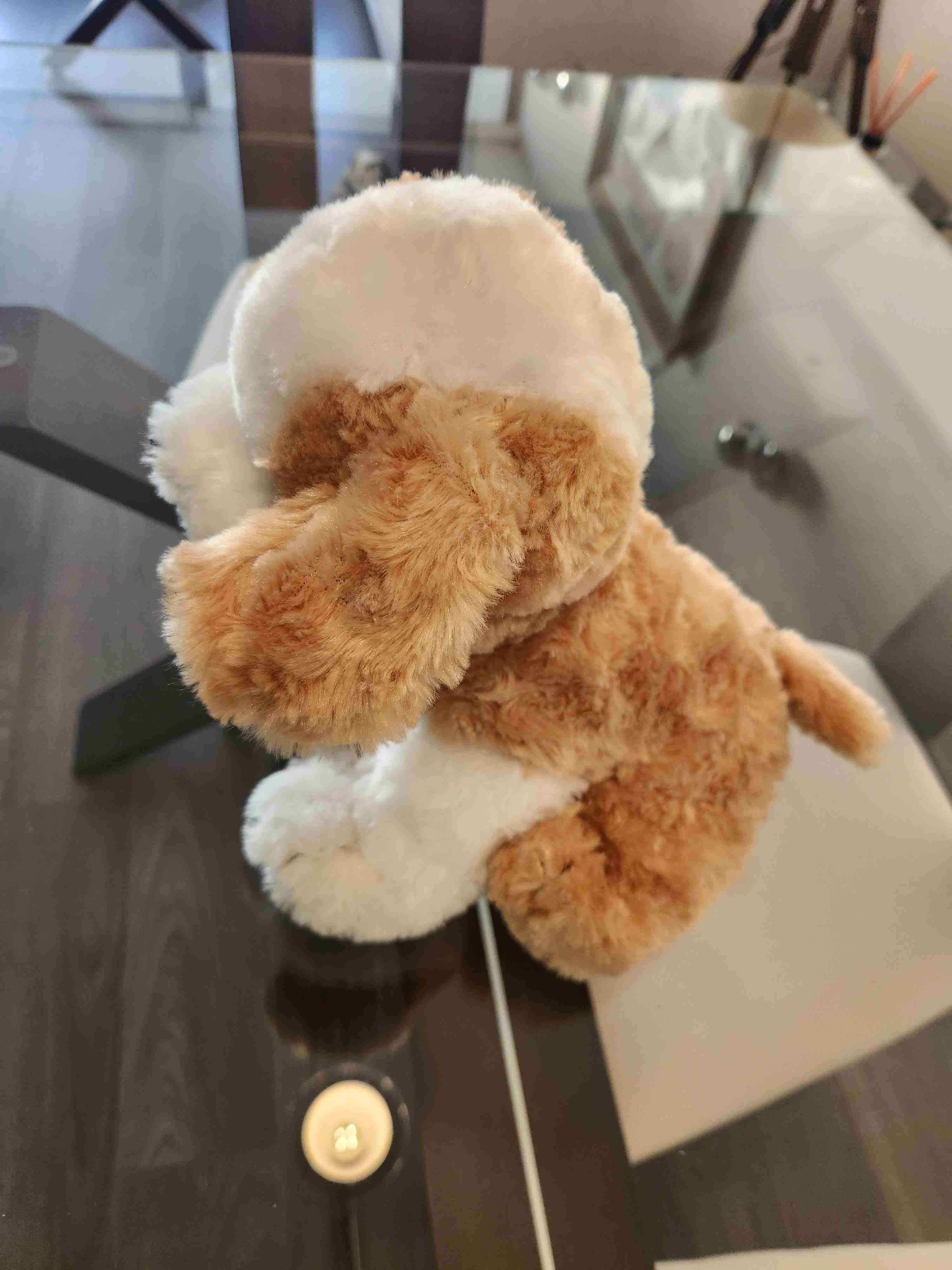 Peluches perrito y oso - miniatura 6