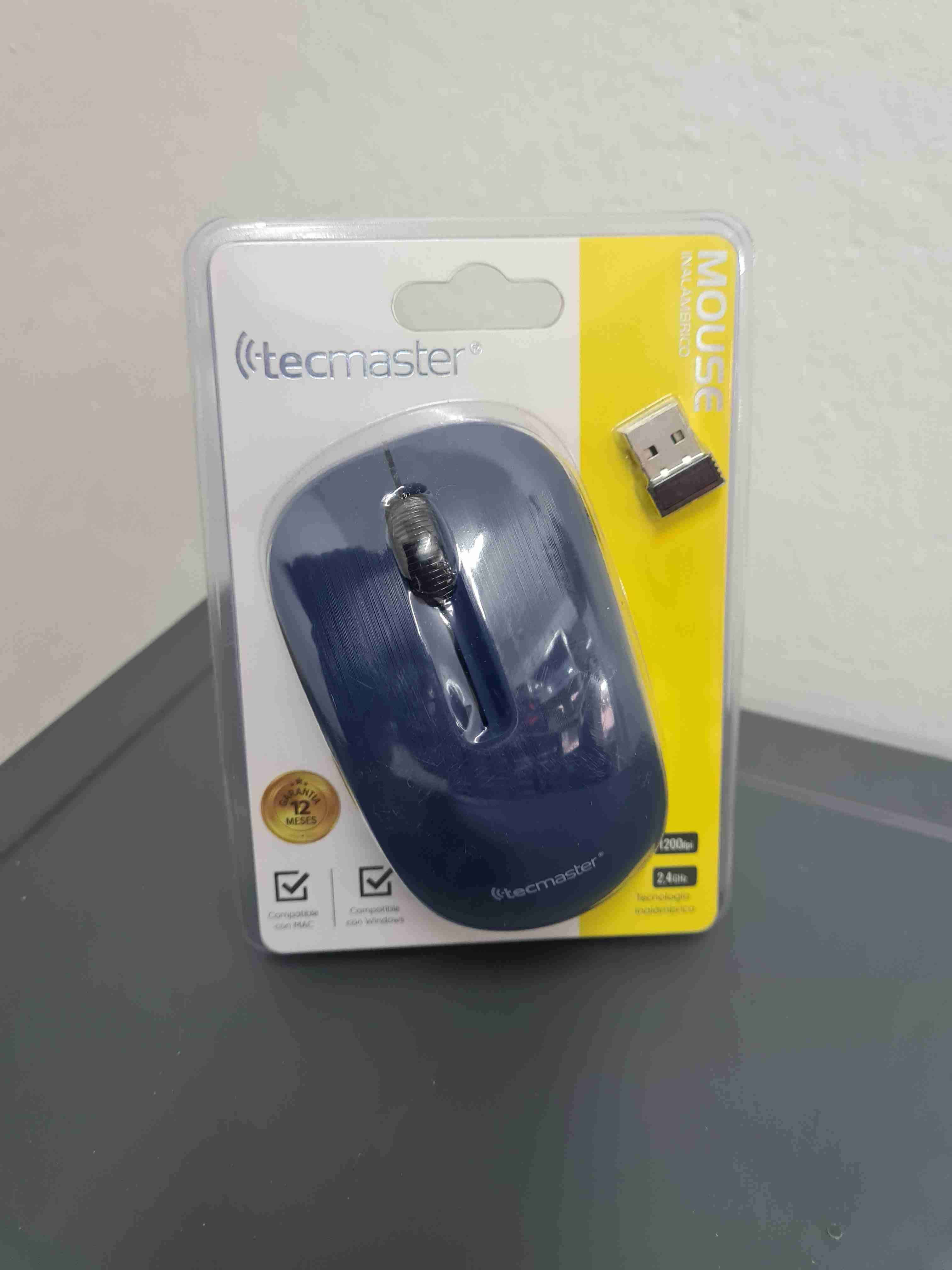 Mouse inalámbrico Tecmaster azul