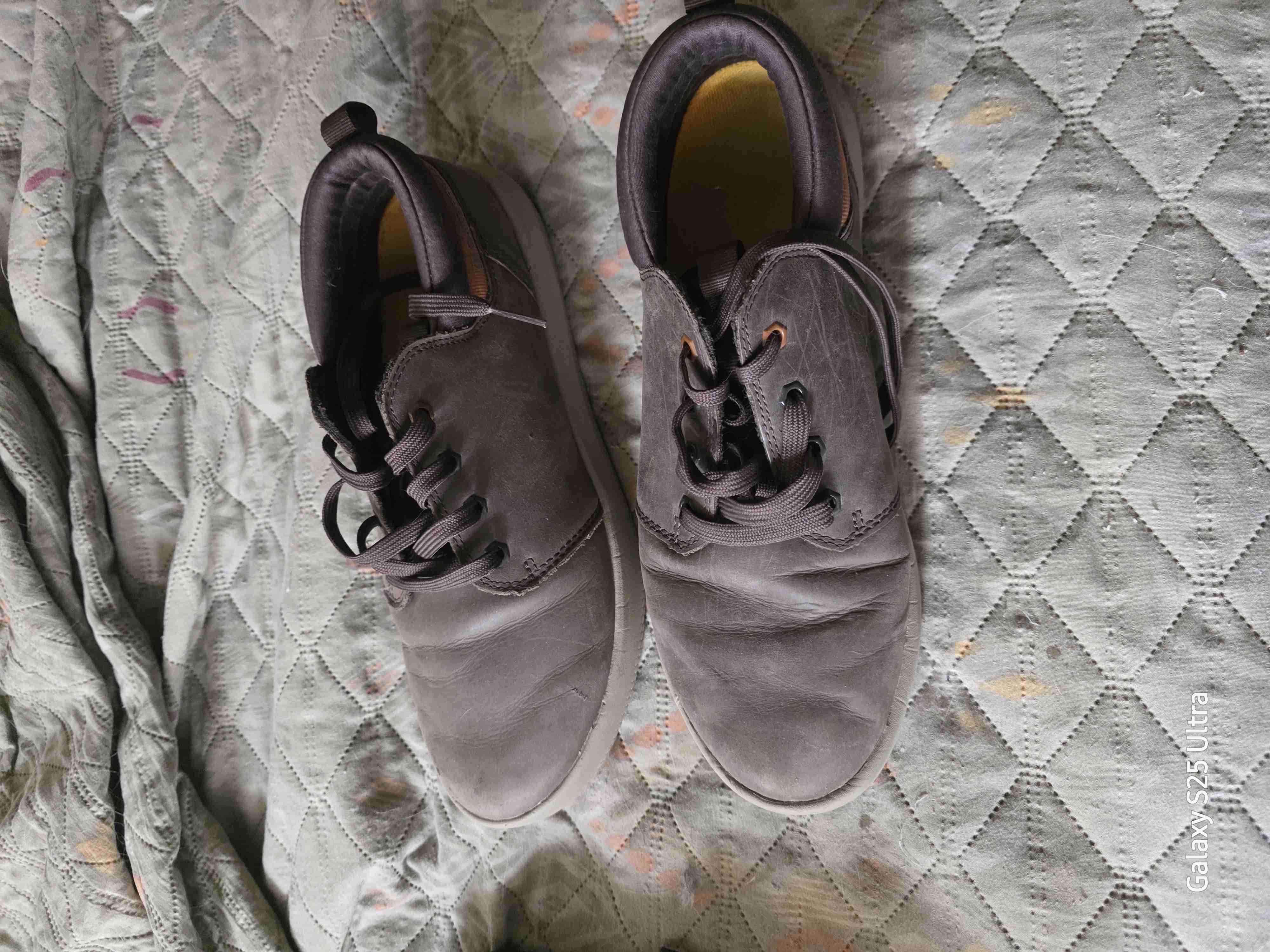 Zapatos casuales marrones Caterpillar - miniatura 2