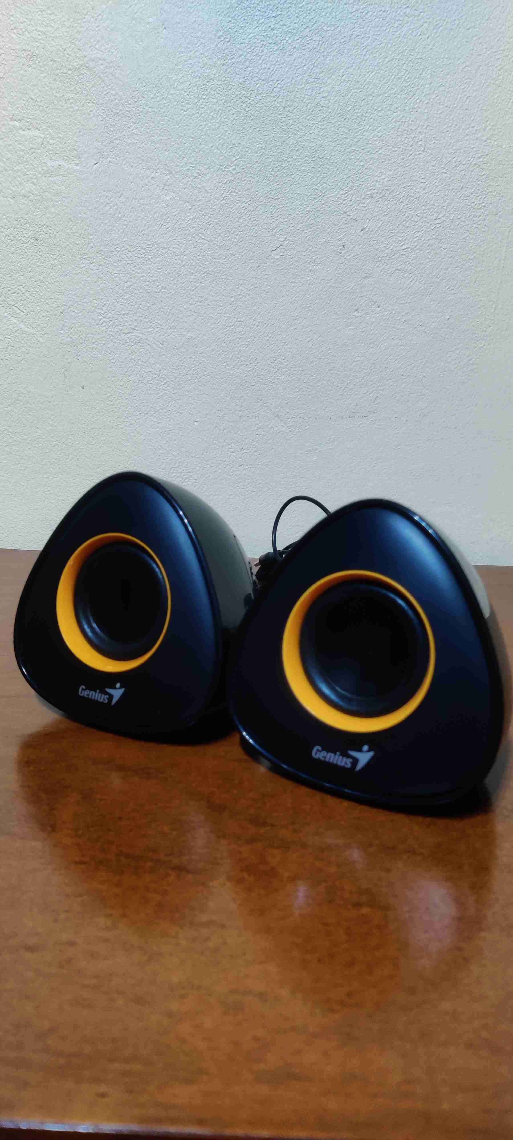 Parlantes Genius activos stereo