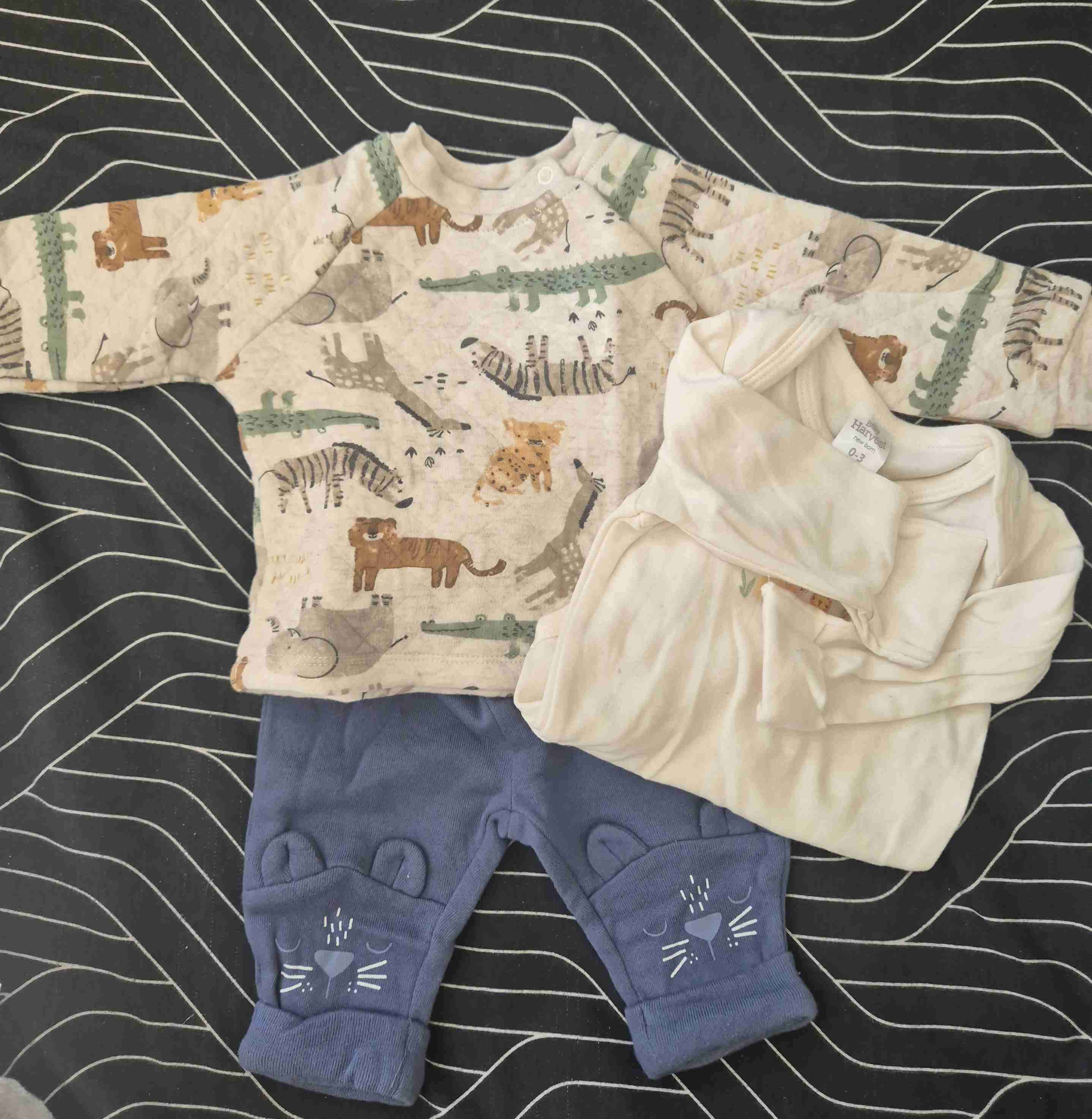 Lote Conjuntos ropa bebé con estampado