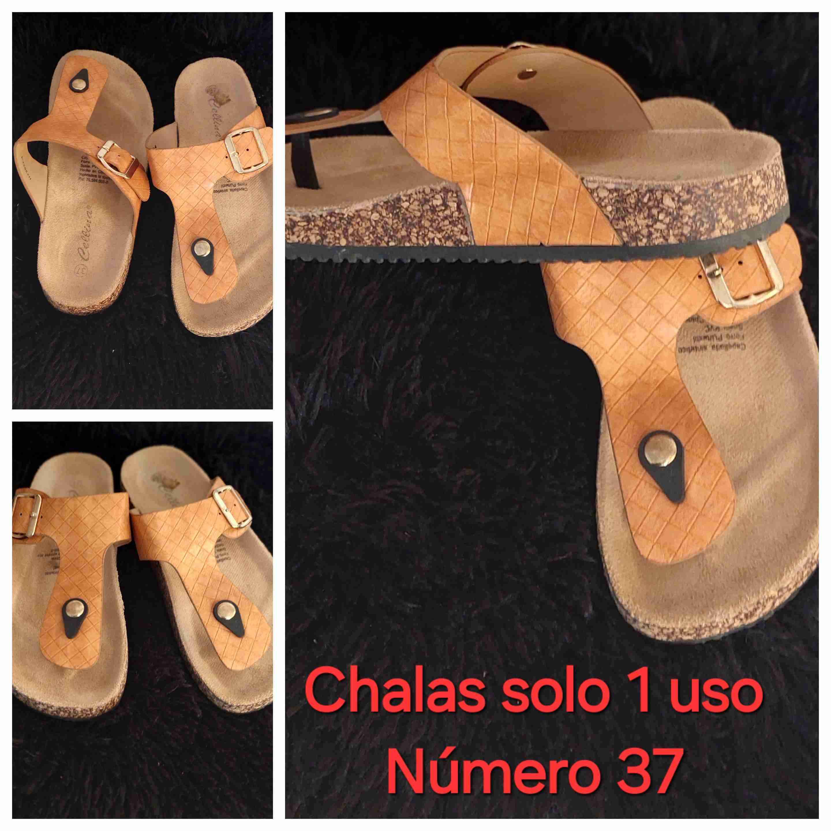 Chalas color camel talla 37