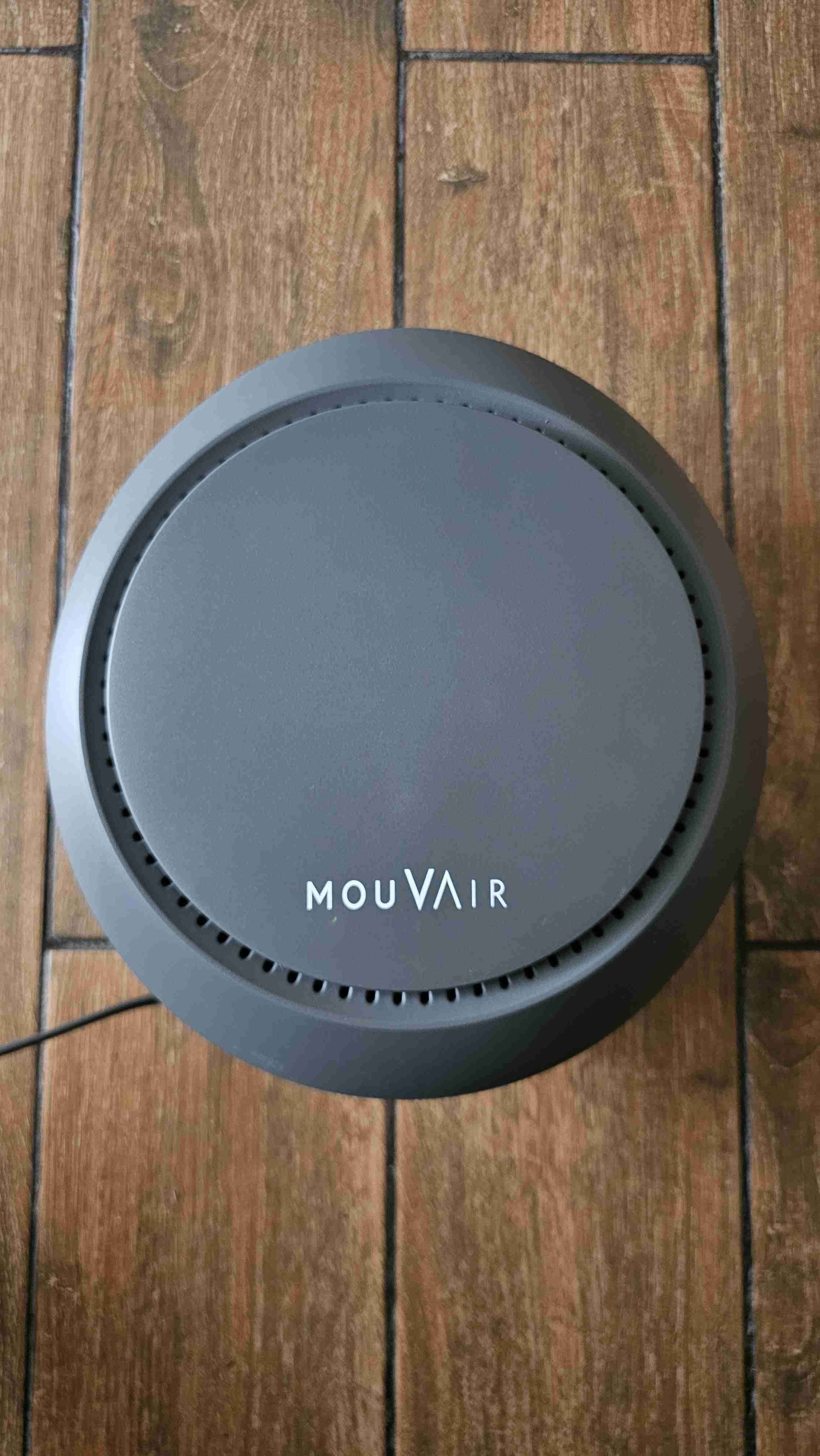 Purificador de aire MouVair gris