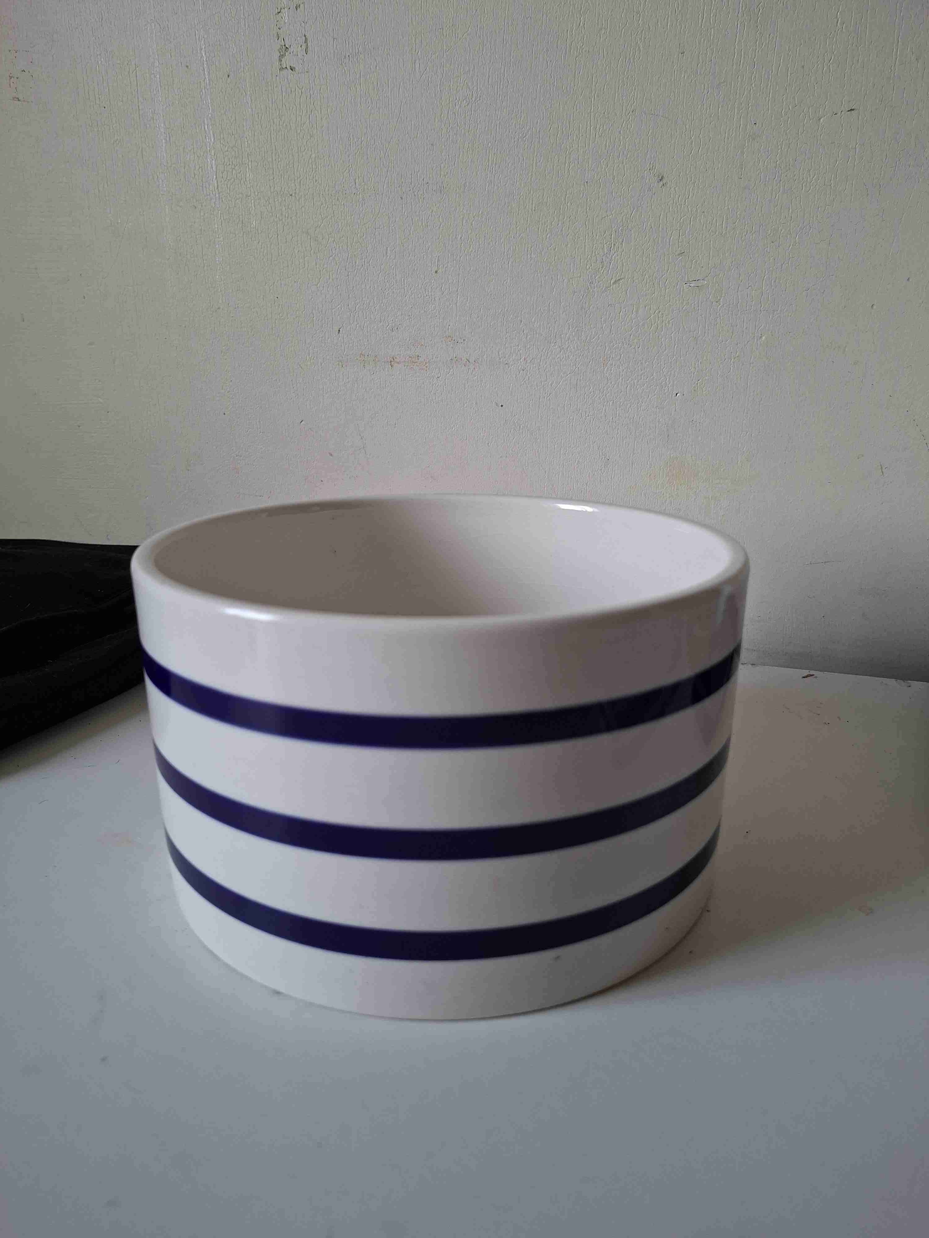 Macetero blanco con rayas azules - miniatura 2