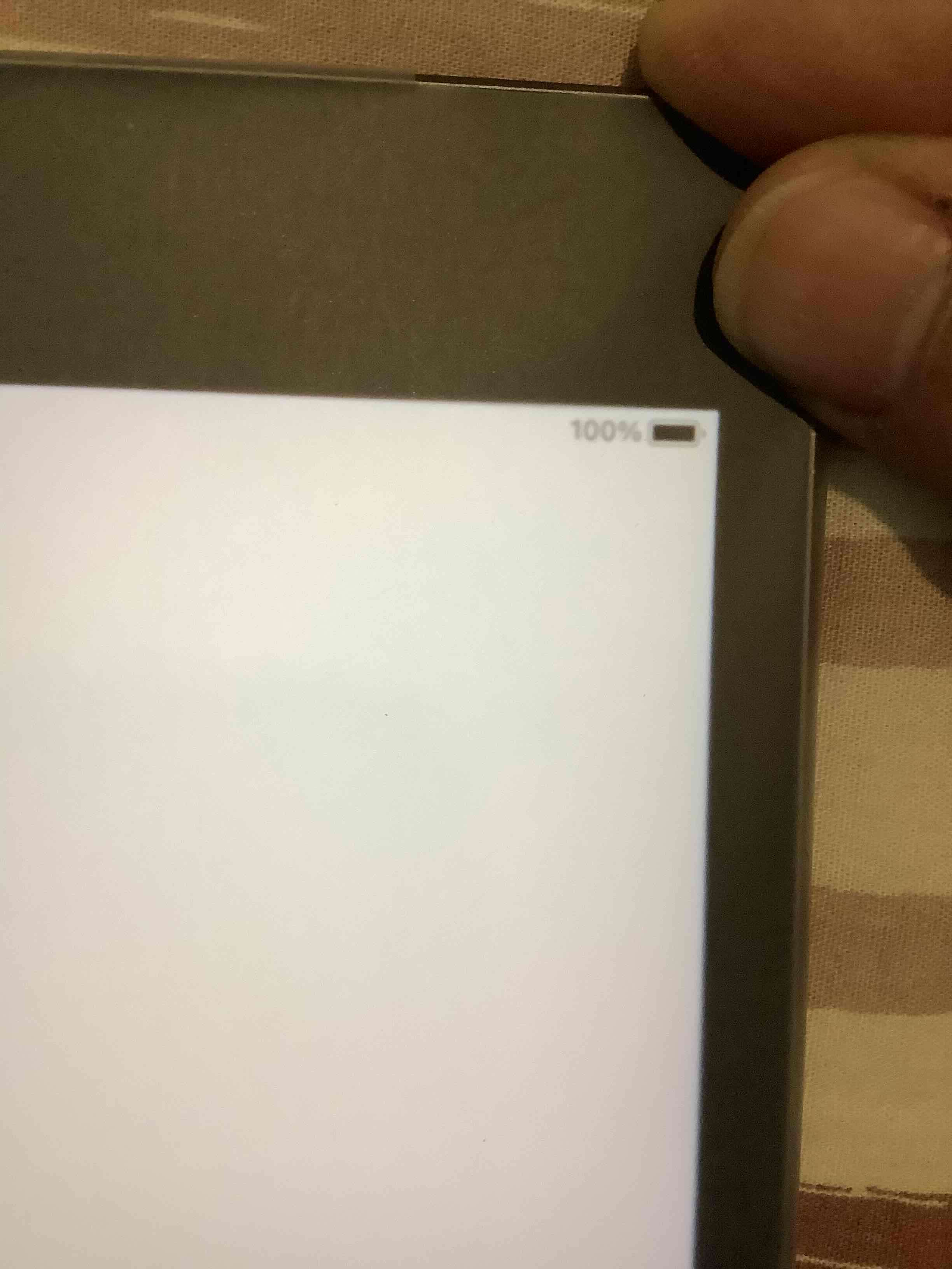 iPad Mini 4 - miniatura 3