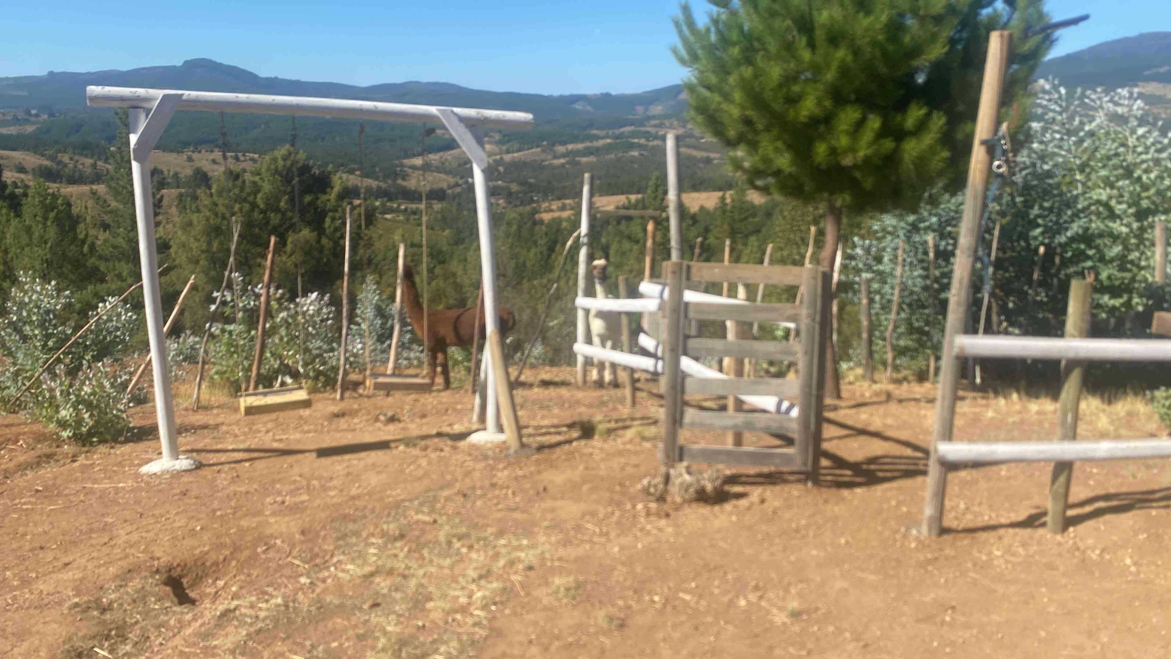 Se vende/arrienda parcela en Quirihue - miniatura 4