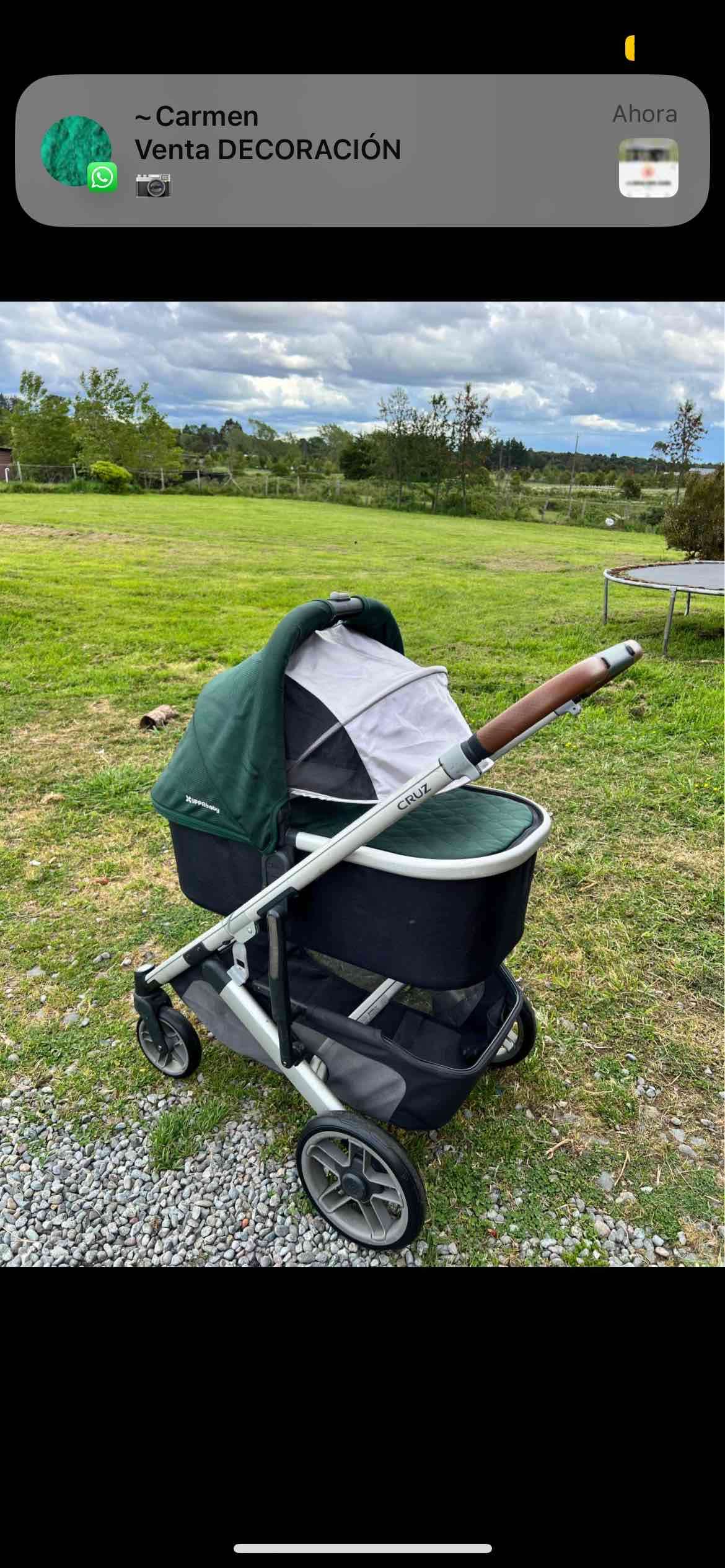 Moisés Uppababy