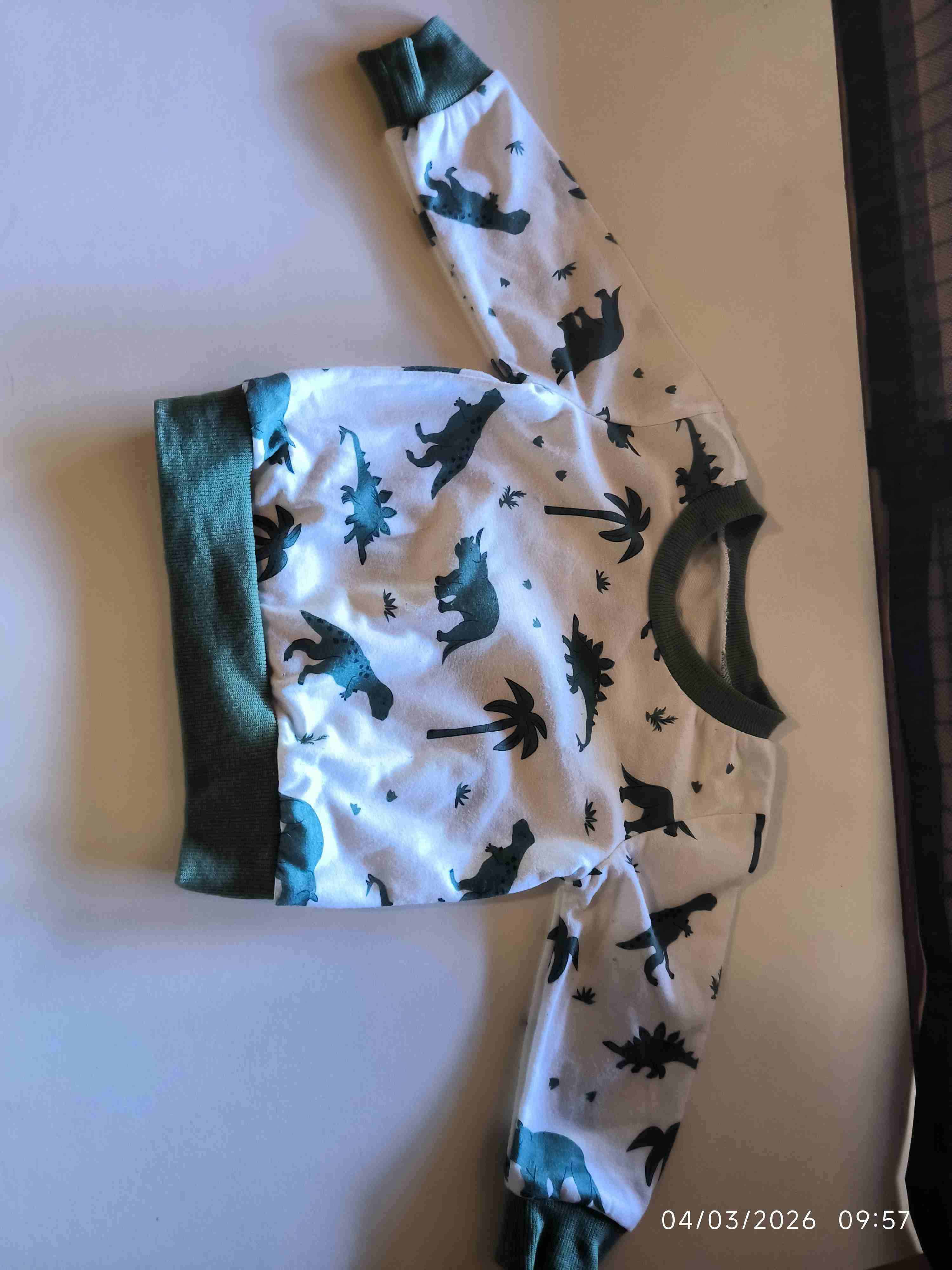 Conjunto ropa de dinosaurios para niños - miniatura 2