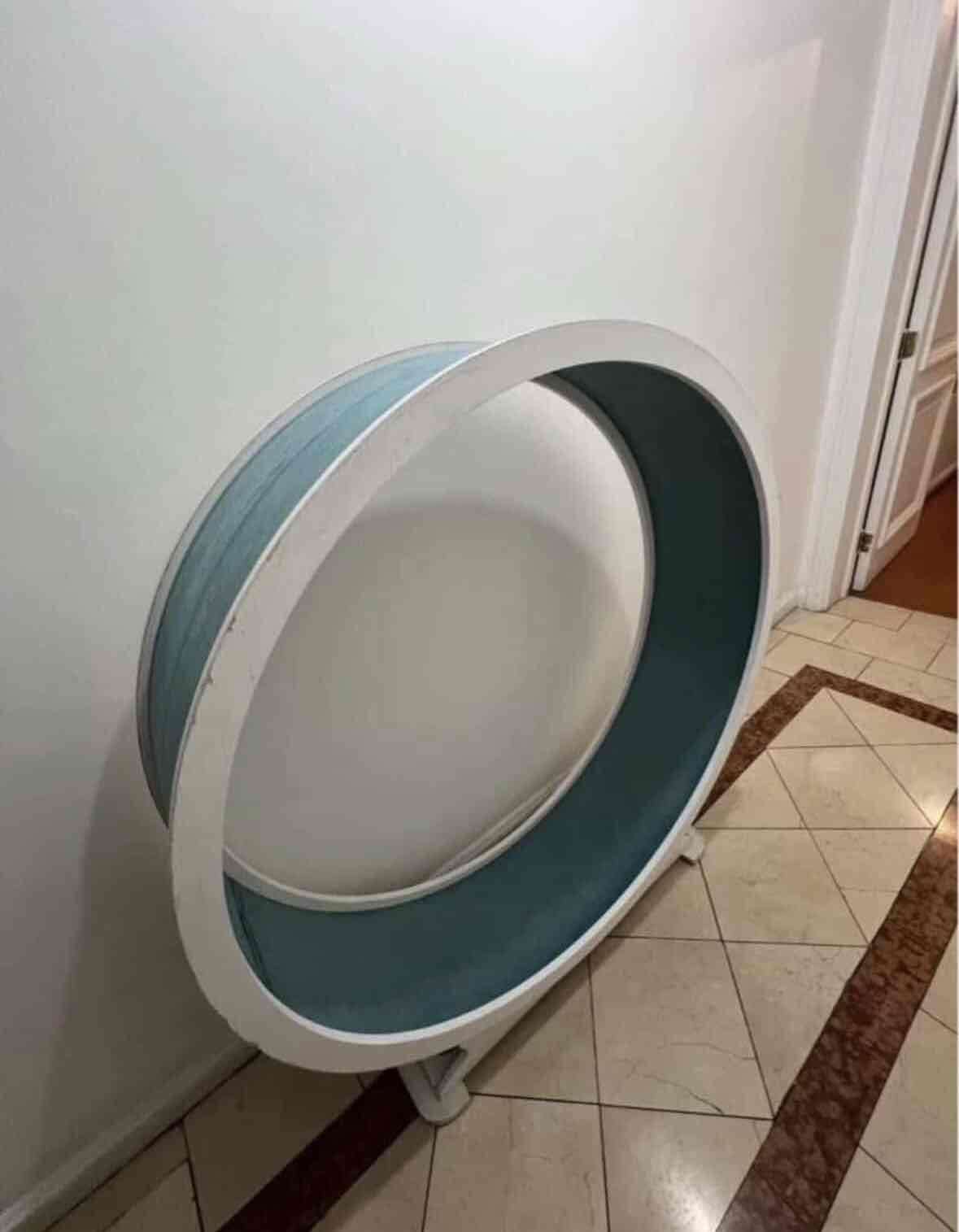 Rueda de ejercicio para gato - miniatura 2